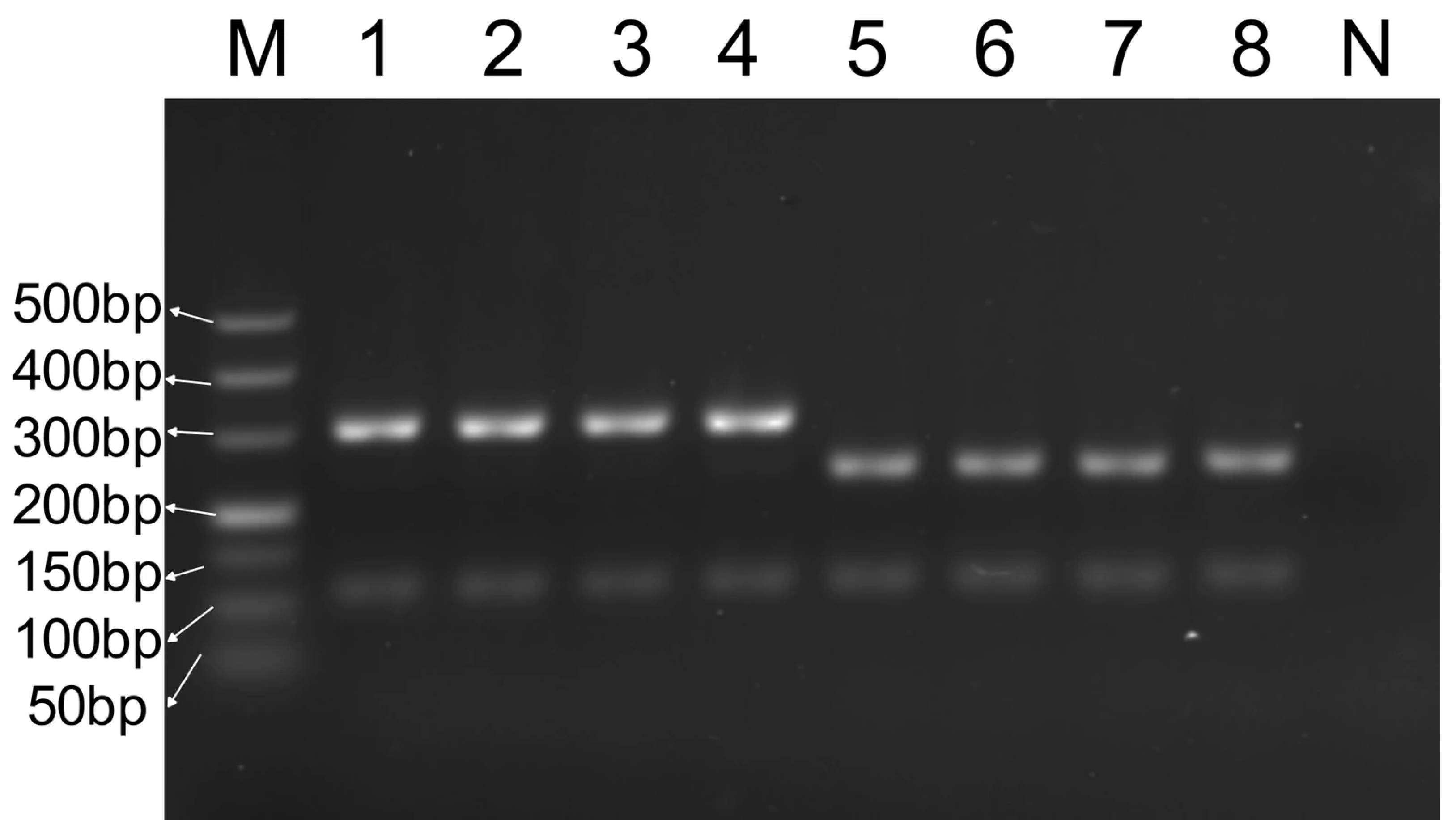 Foods 14 03875 g006 Foods 14 03875 g006