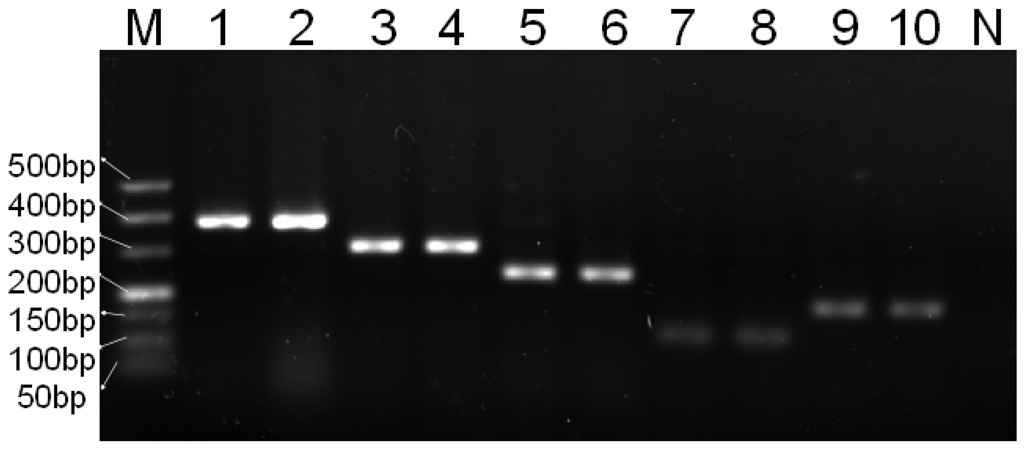 Foods 14 03875 g007 Foods 14 03875 g007