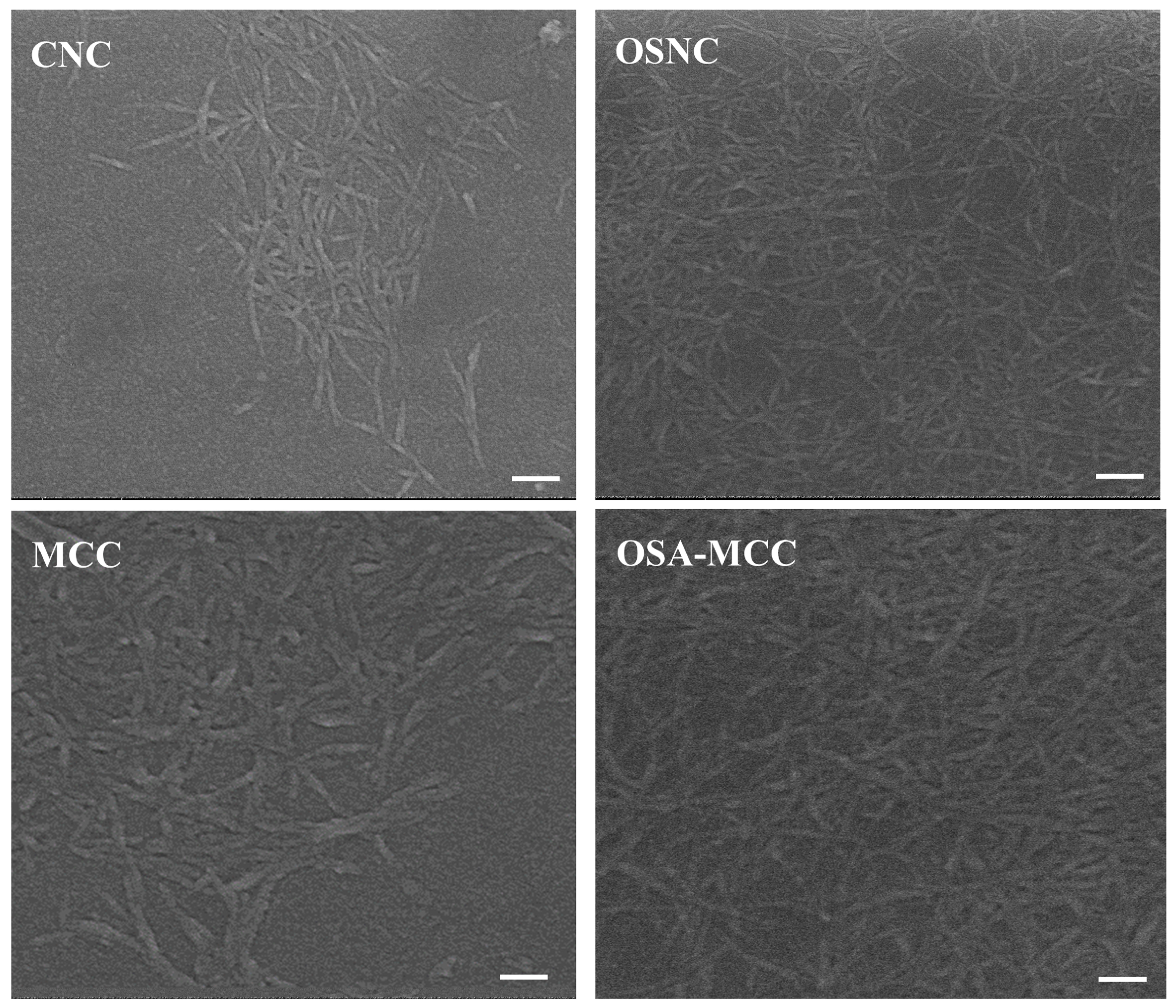 Foods 14 03876 g003 Foods 14 03876 g003