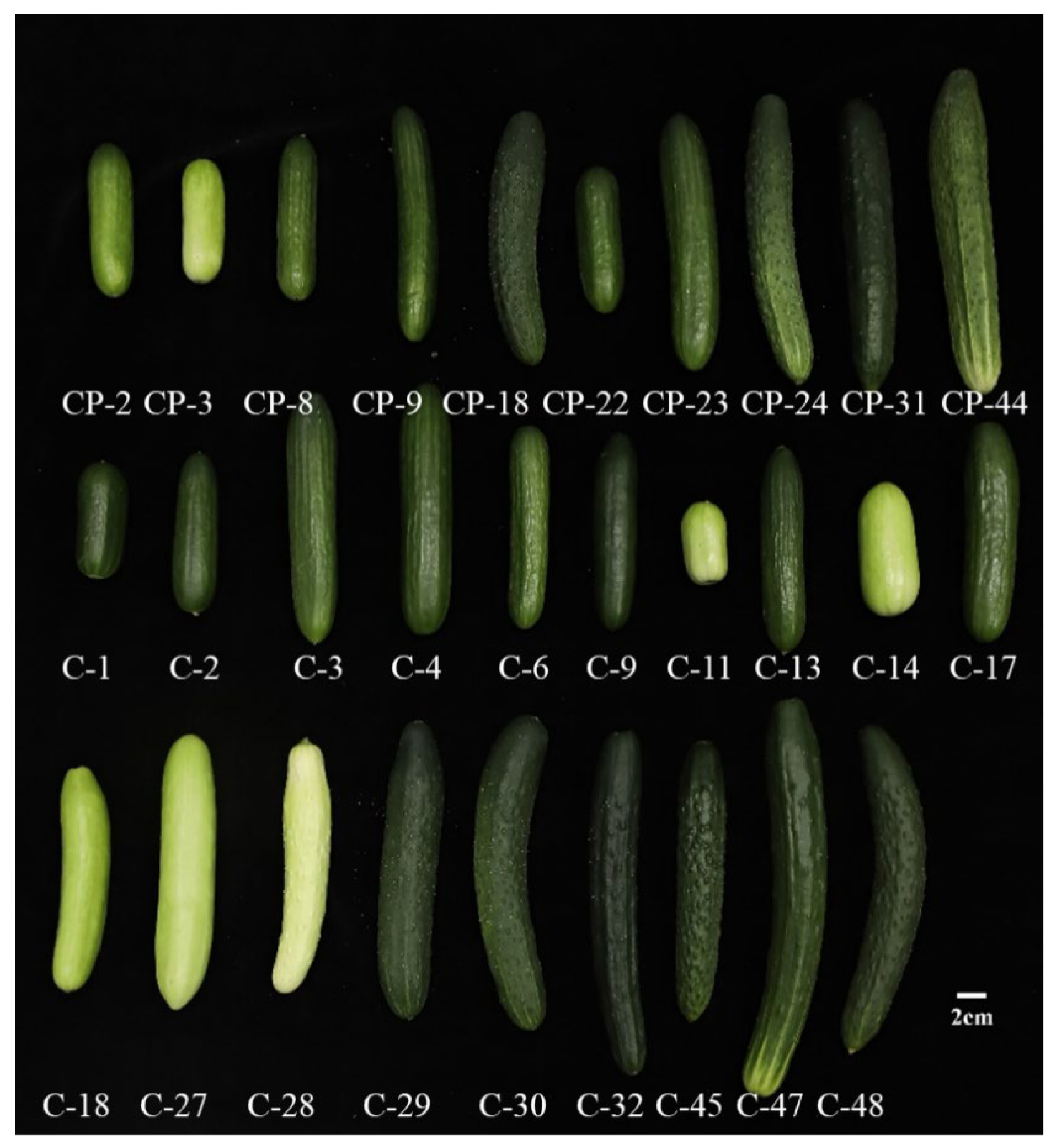 Foods 14 03878 g001 Foods 14 03878 g001