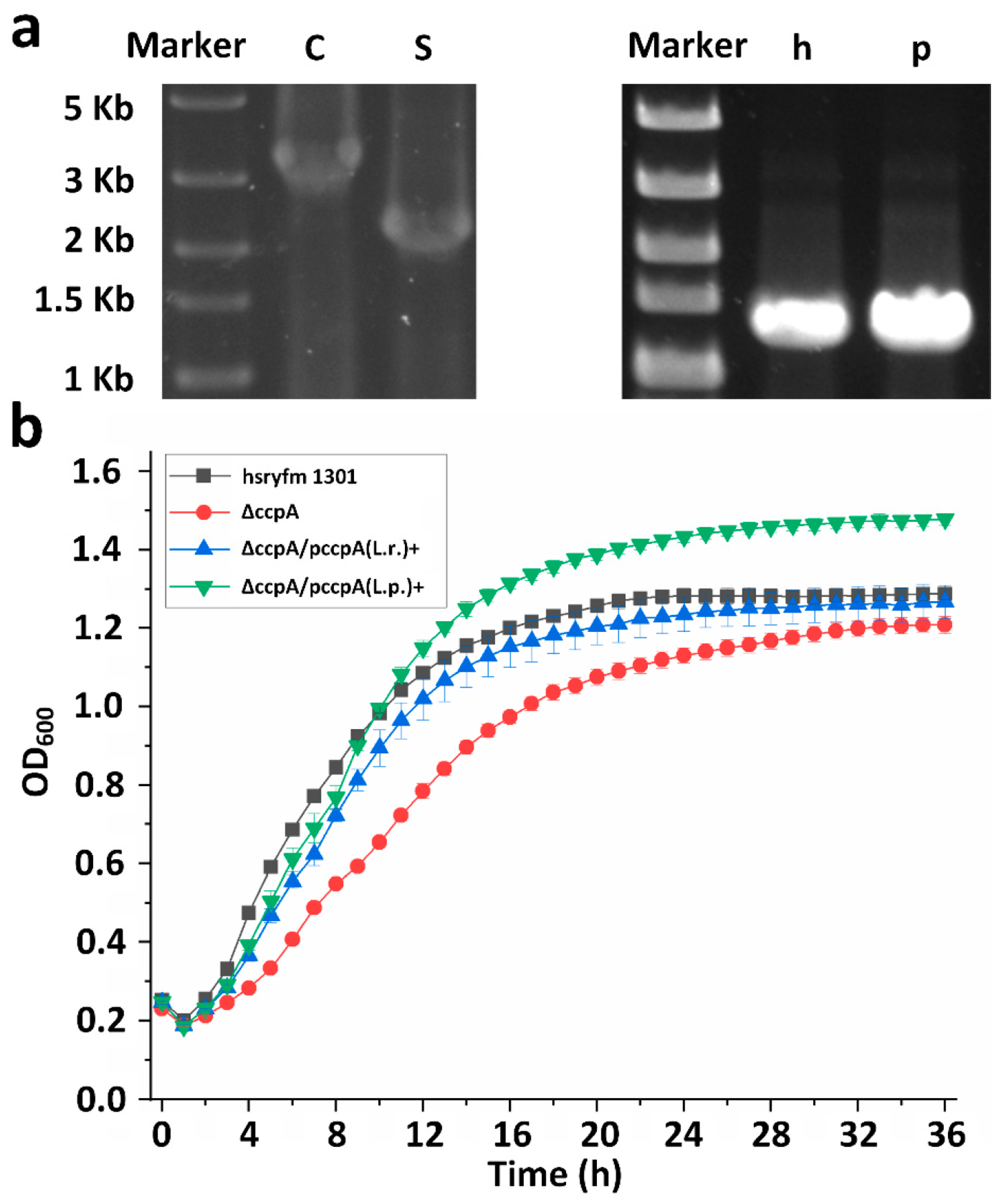 Foods 14 03894 g001 Foods 14 03894 g001