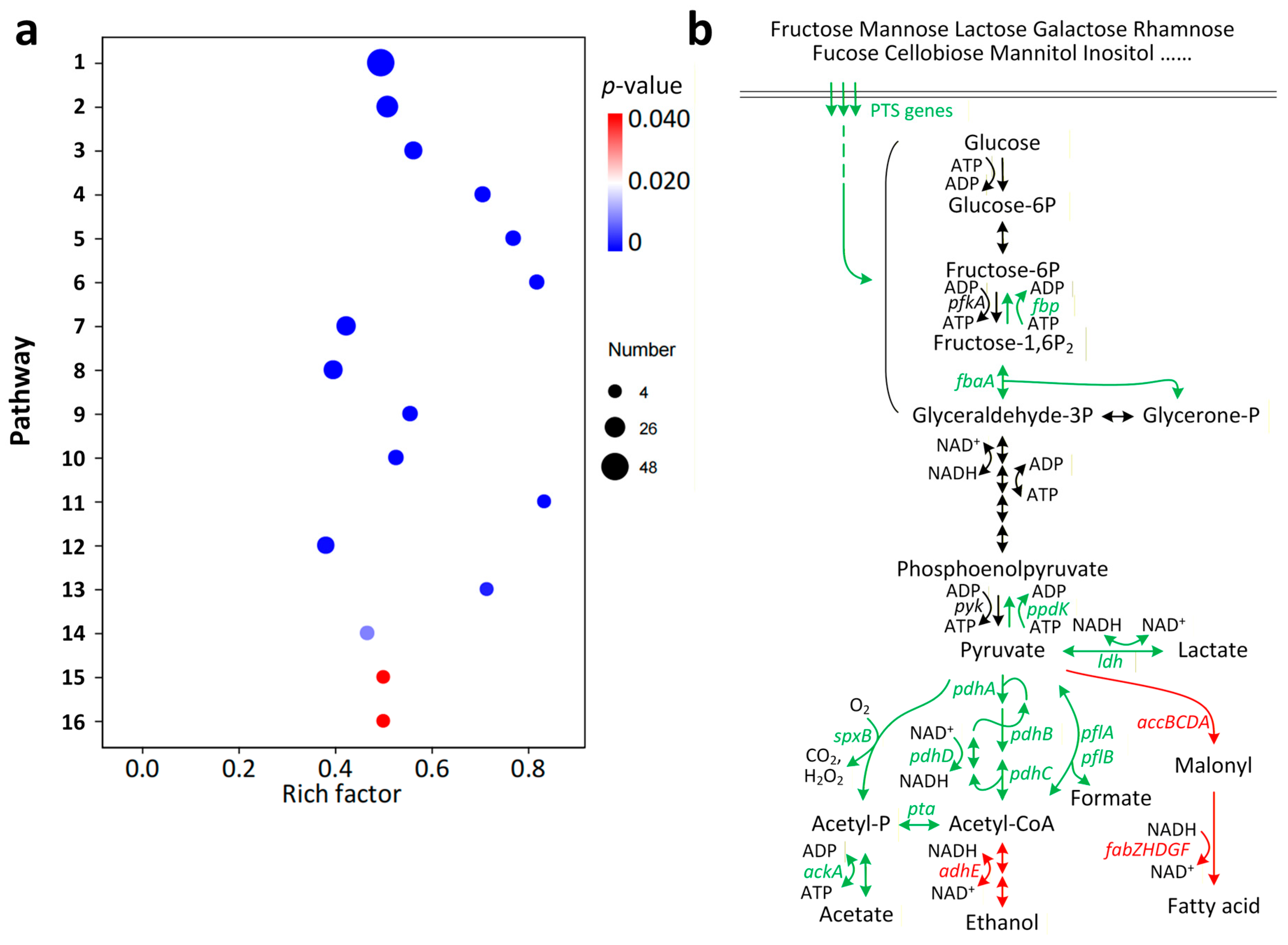 Foods 14 03894 g003 Foods 14 03894 g003