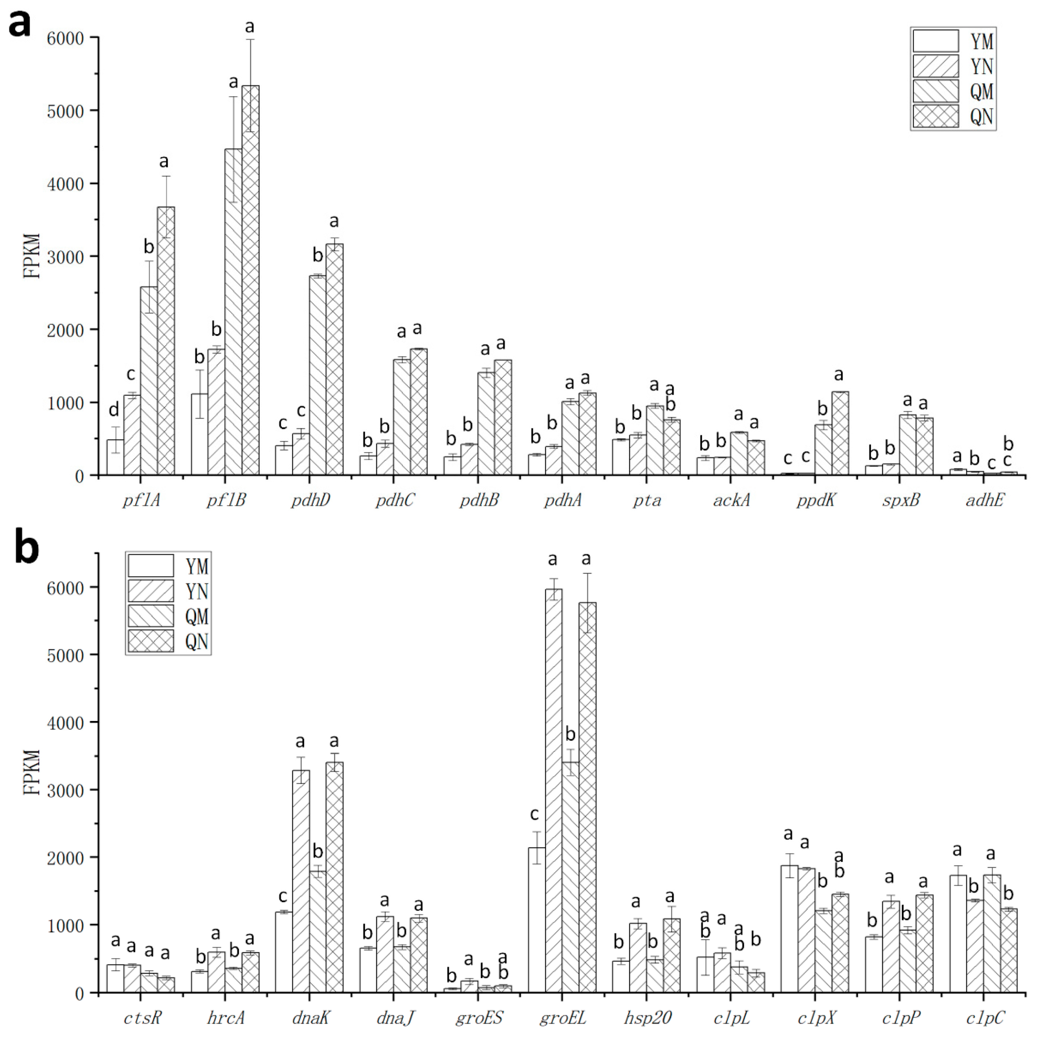 Foods 14 03894 g006 Foods 14 03894 g006