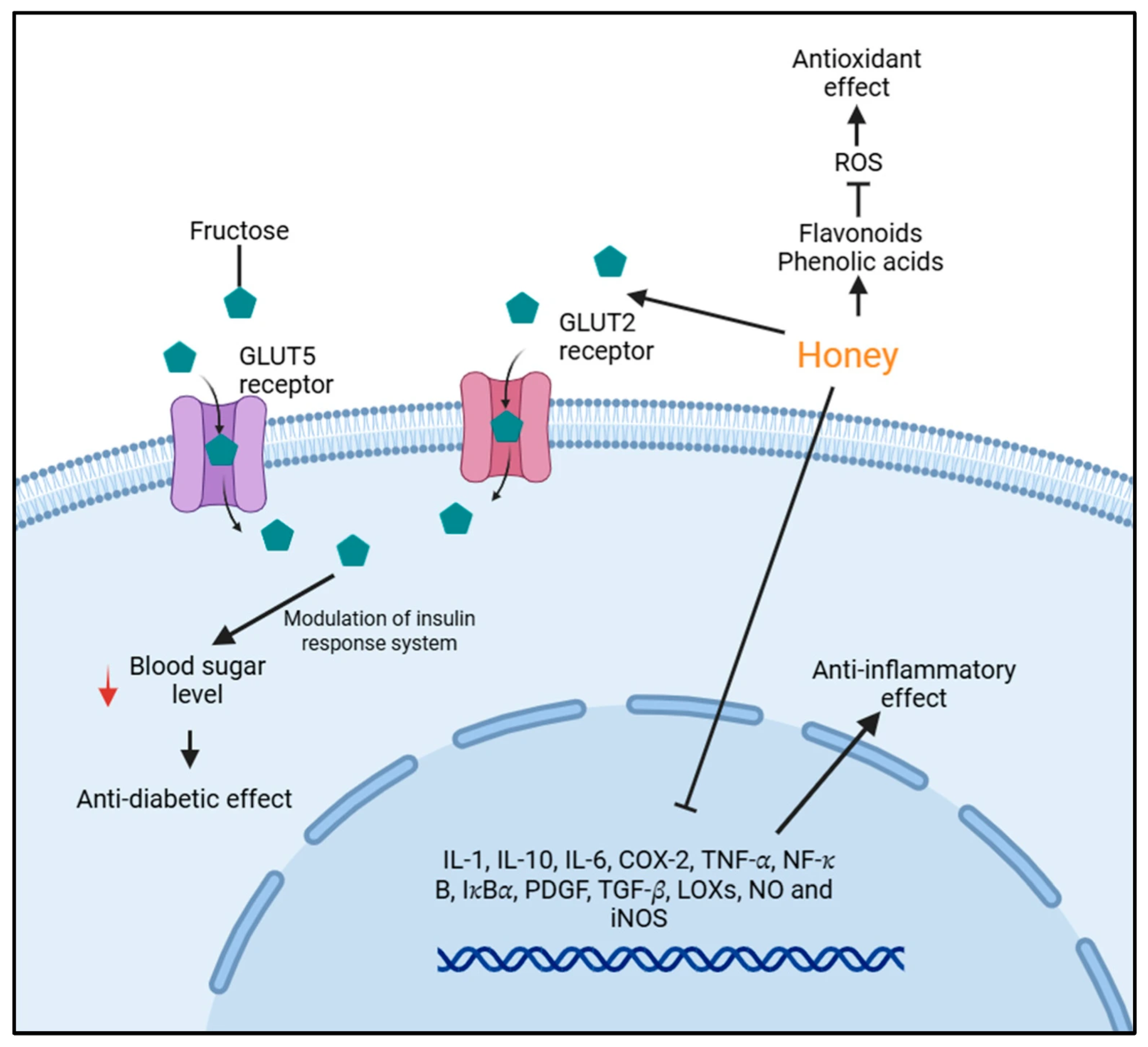 Foods 14 03895 g001 Foods 14 03895 g001