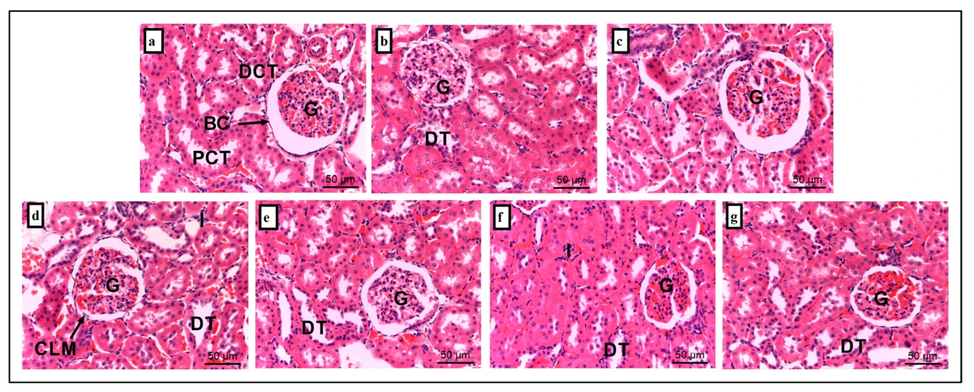 Foods 14 03895 g005 Foods 14 03895 g005