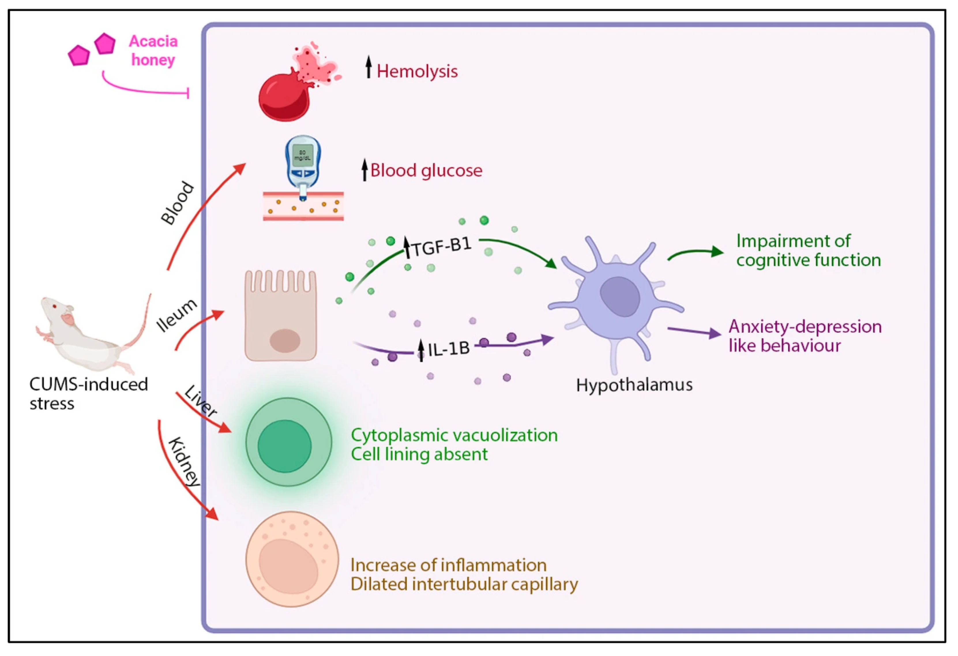Foods 14 03895 g008 Foods 14 03895 g008
