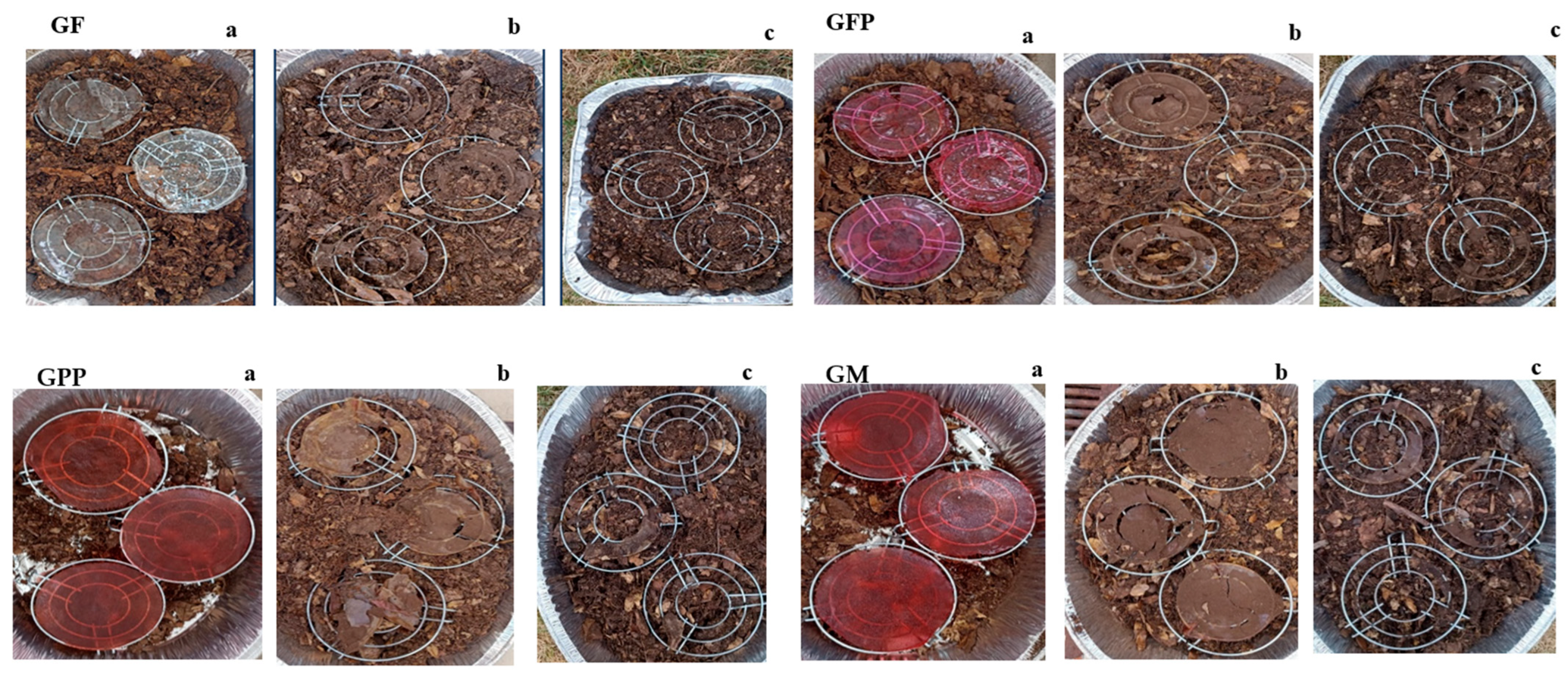 Foods 14 03911 g003 Foods 14 03911 g003