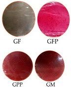 Foods 14 03911 i001 Foods 14 03911 i001