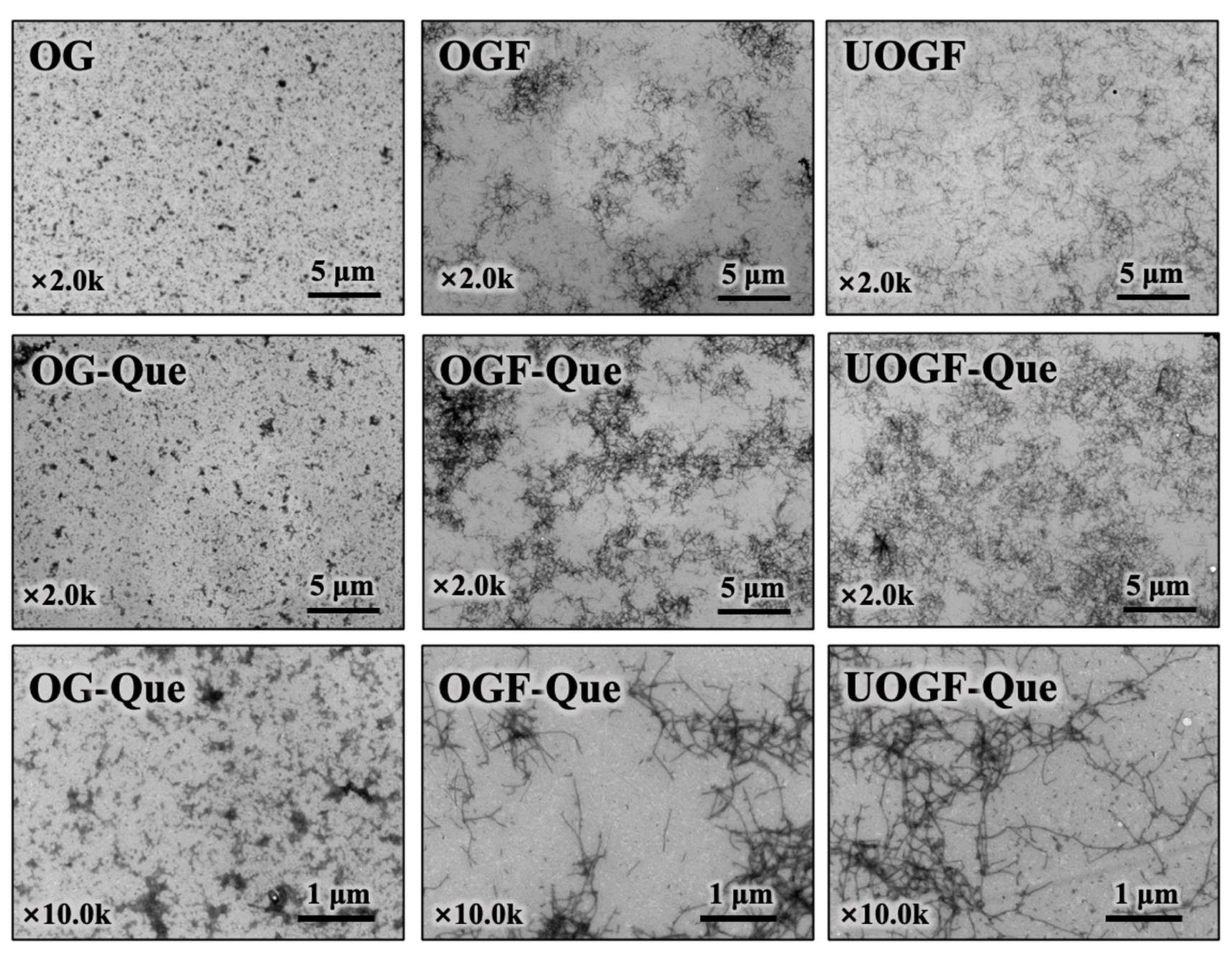 Foods 14 03916 g005 Foods 14 03916 g005