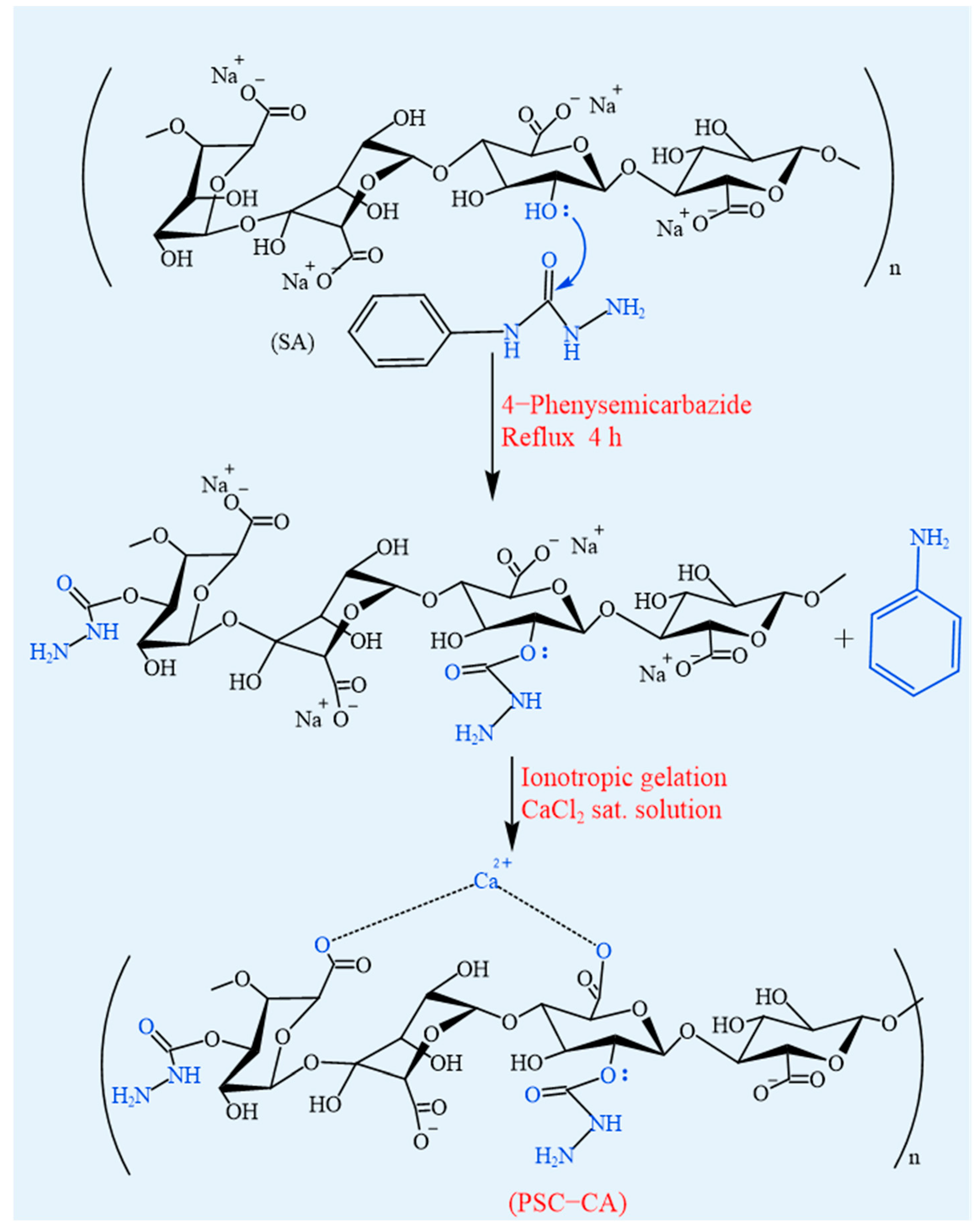 Foods 14 03931 g012 Foods 14 03931 g012