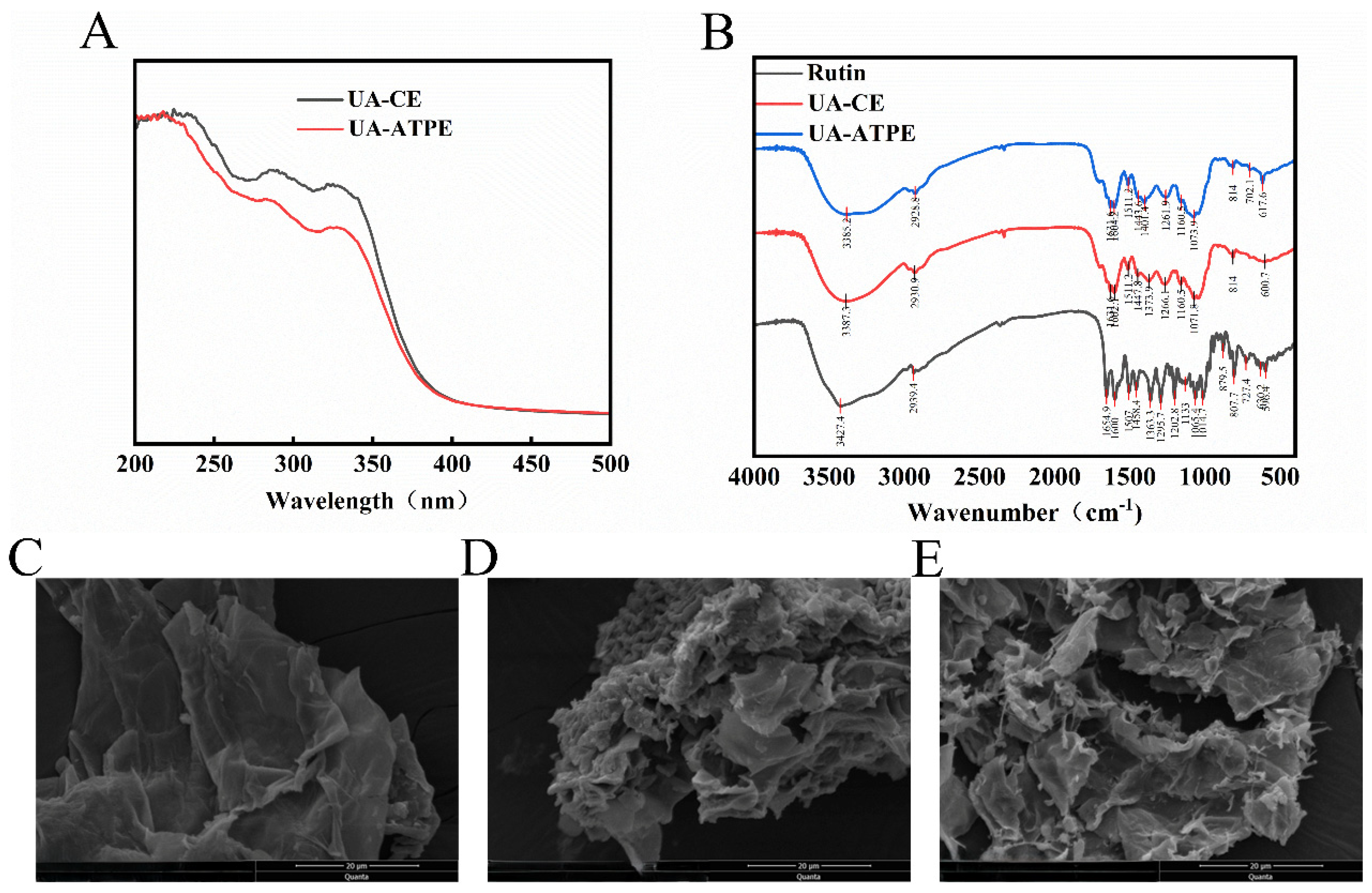 Foods 14 03941 g005 Foods 14 03941 g005