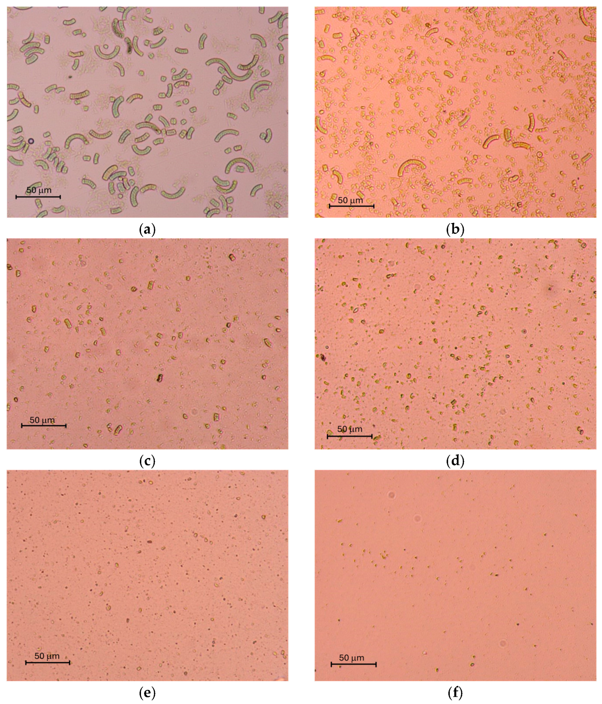 Foods 14 03942 g002 Foods 14 03942 g002