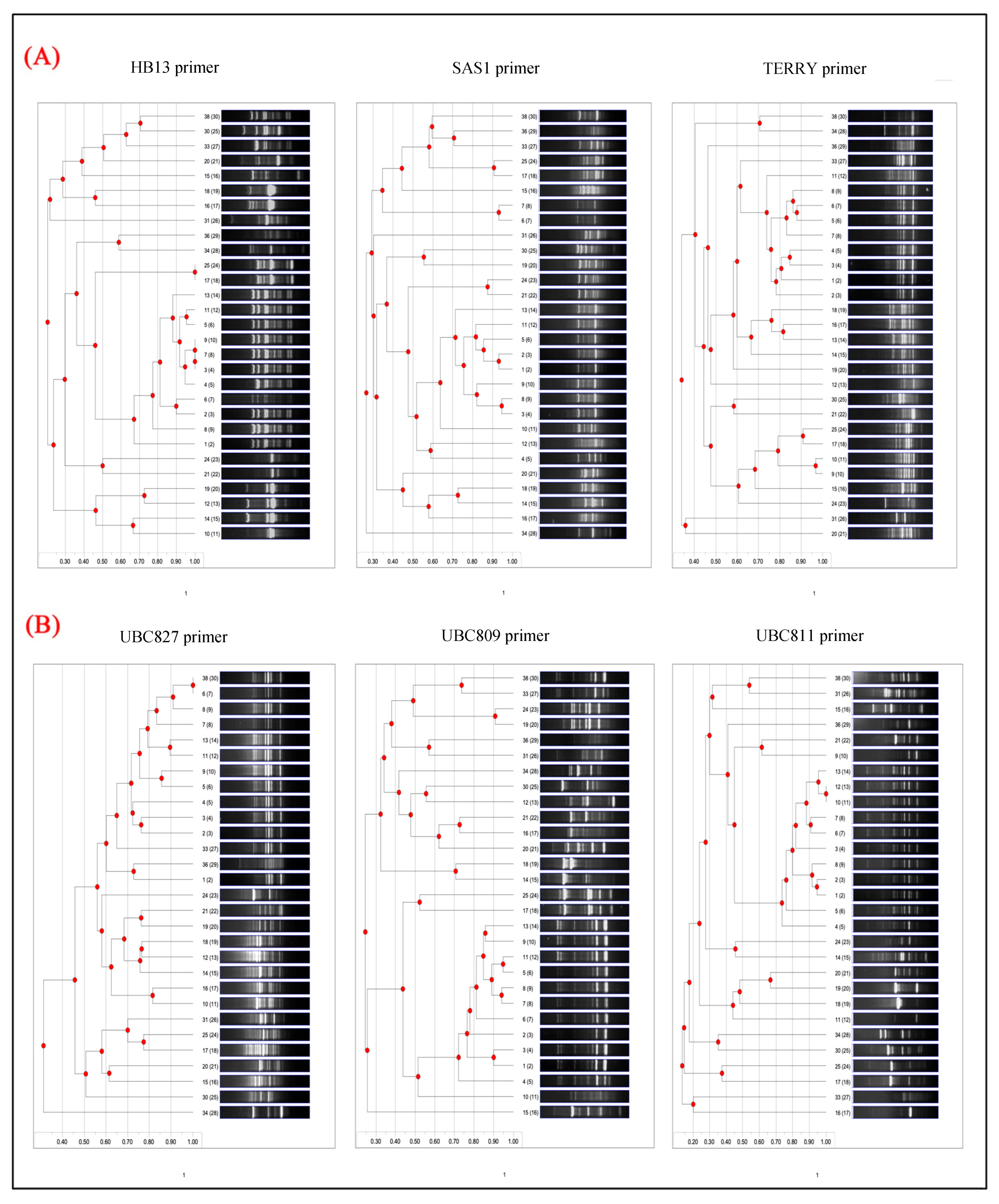 Foods 14 03943 g003 Foods 14 03943 g003