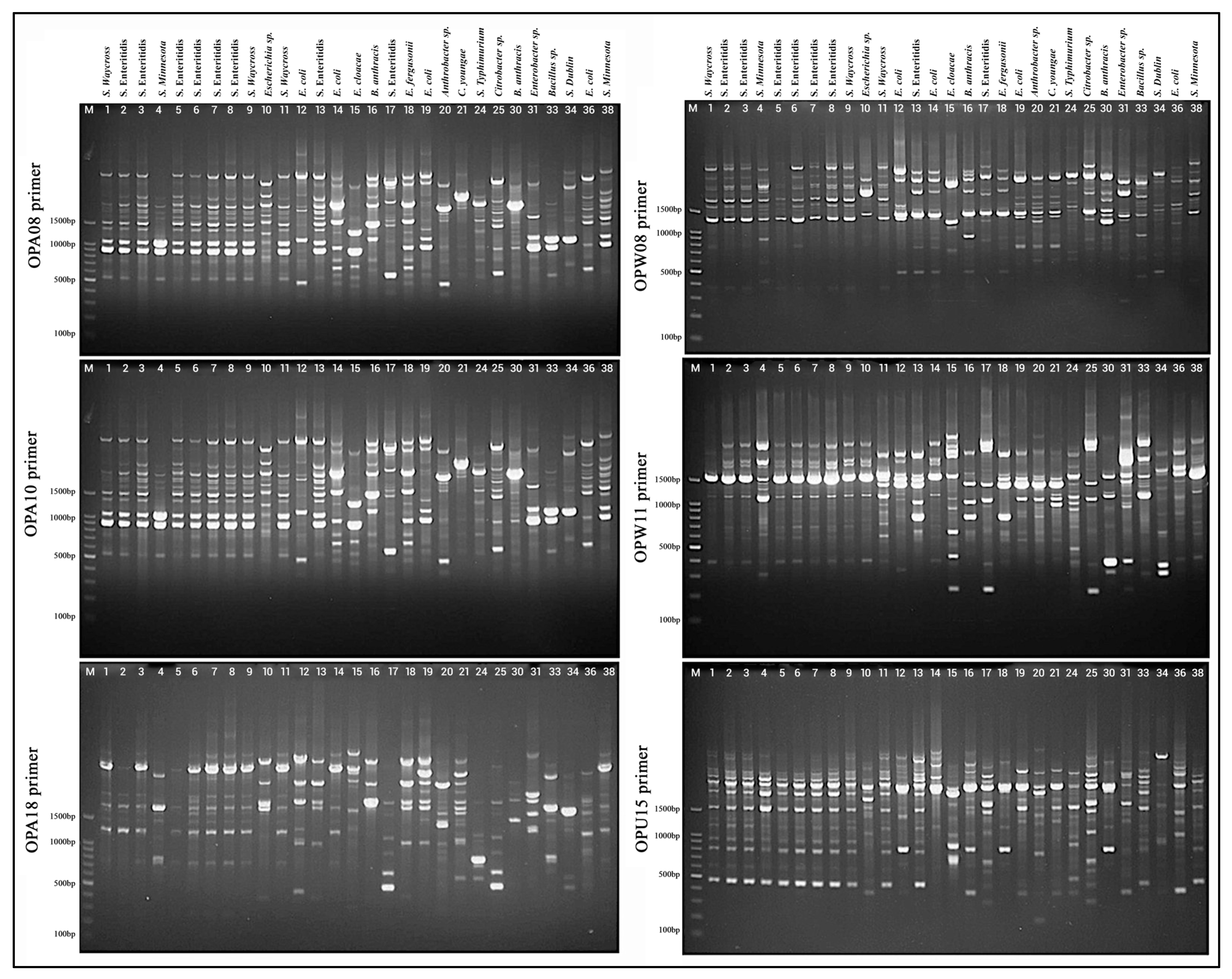 Foods 14 03943 g005 Foods 14 03943 g005