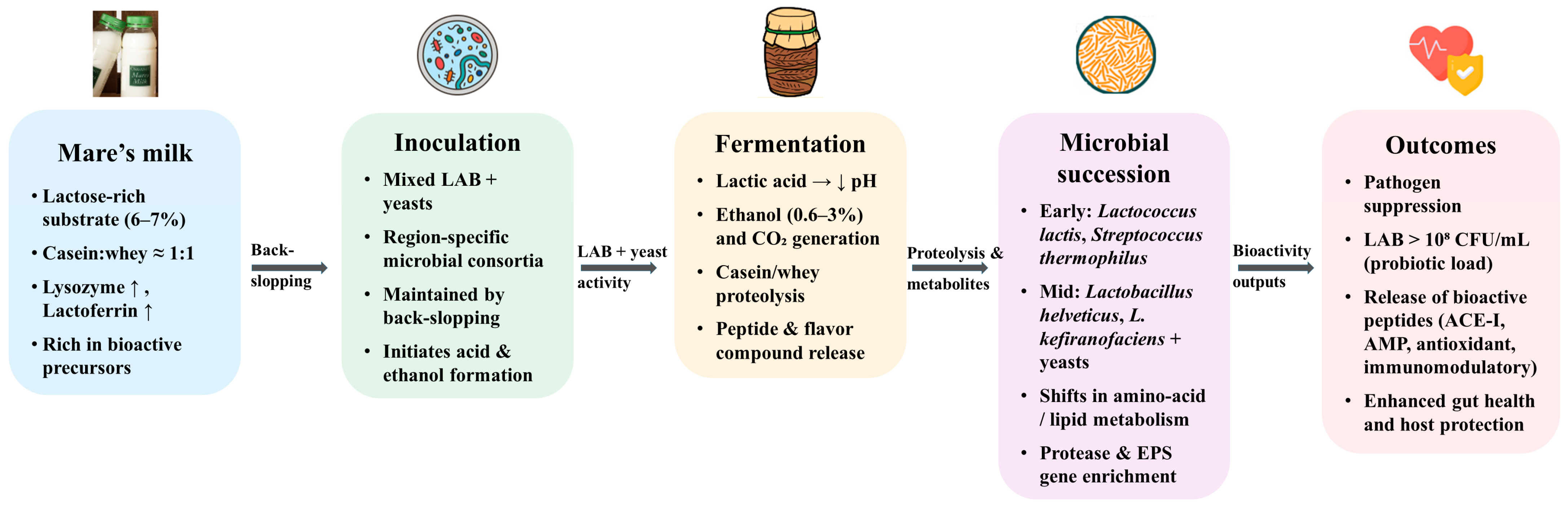 Foods 14 03954 g001 Foods 14 03954 g001
