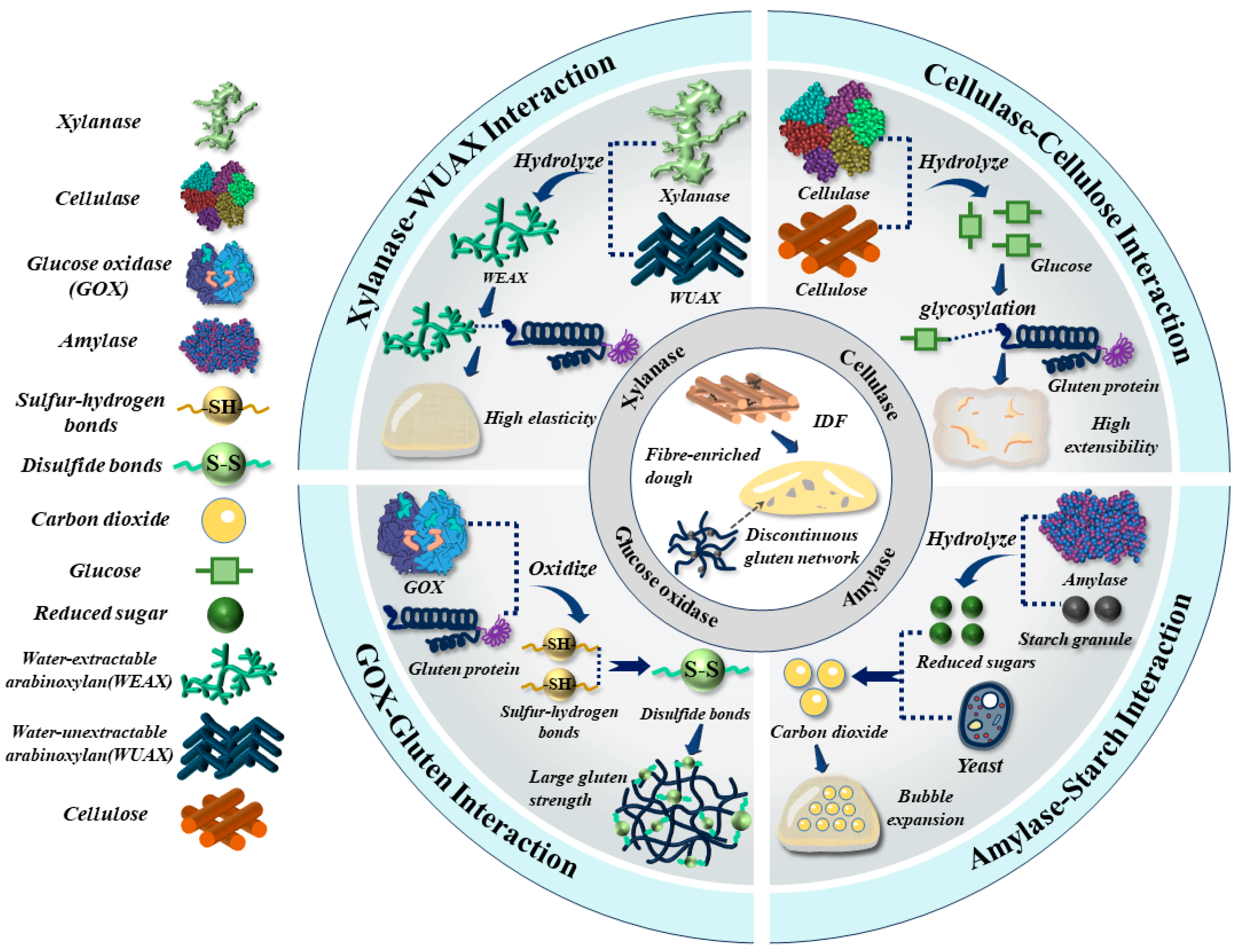 Foods 14 03963 g002 Foods 14 03963 g002