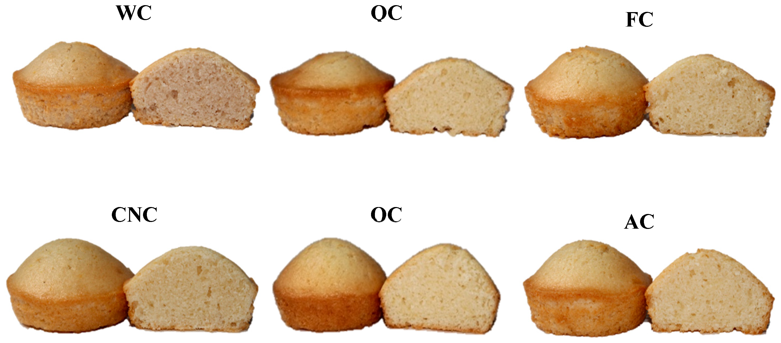 Foods 14 03989 g003b