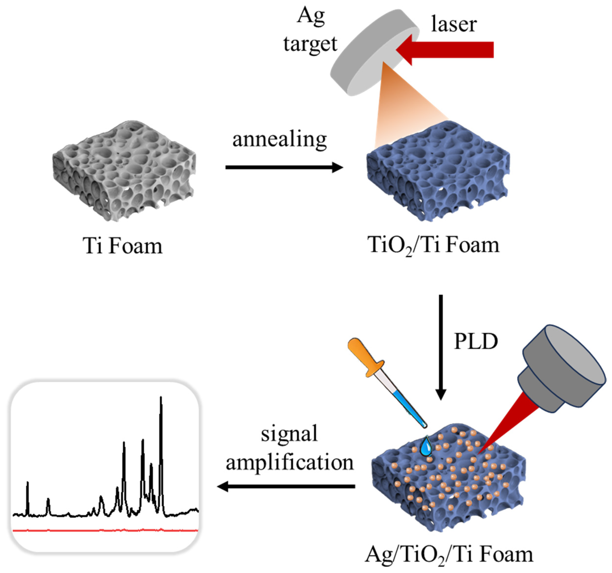 Foods 14 03998 g001 Foods 14 03998 g001