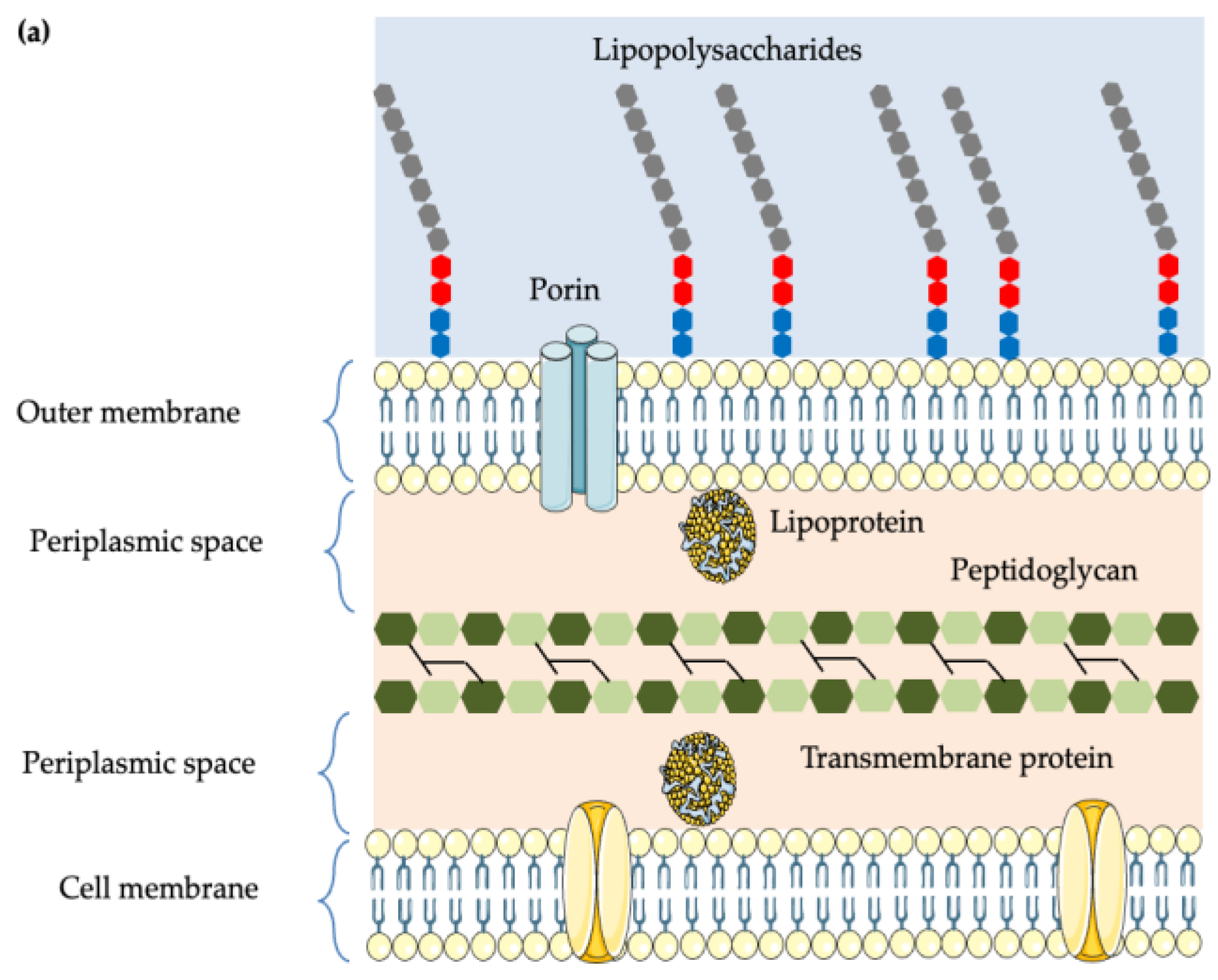 Foods 14 04000 g001a Foods 14 04000 g001a