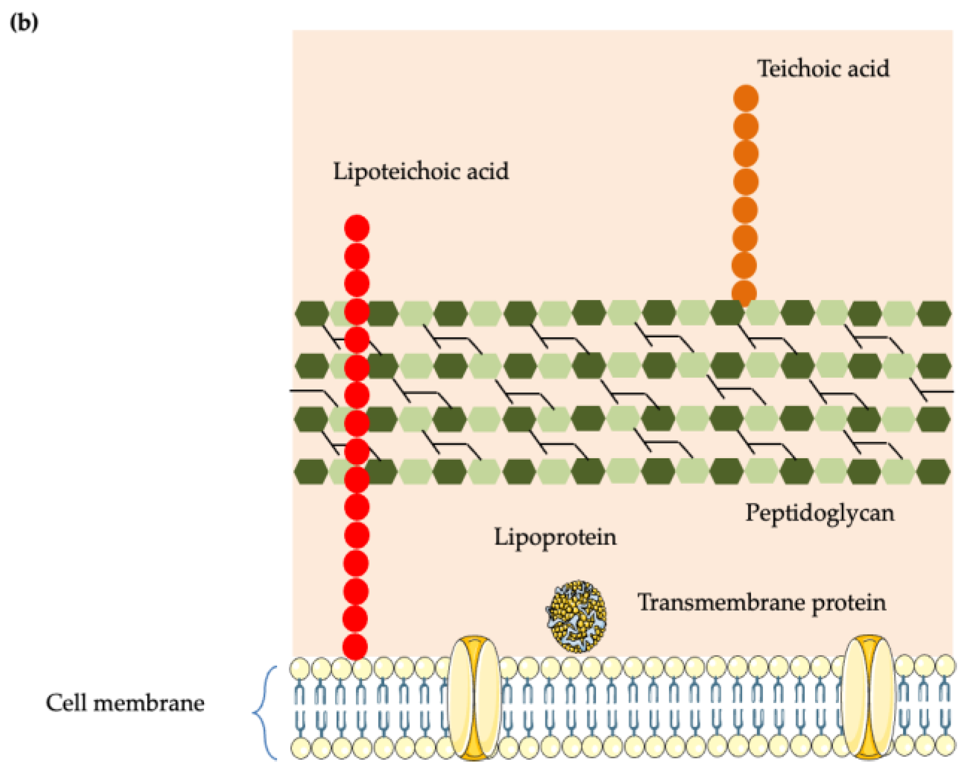Foods 14 04000 g001b Foods 14 04000 g001b
