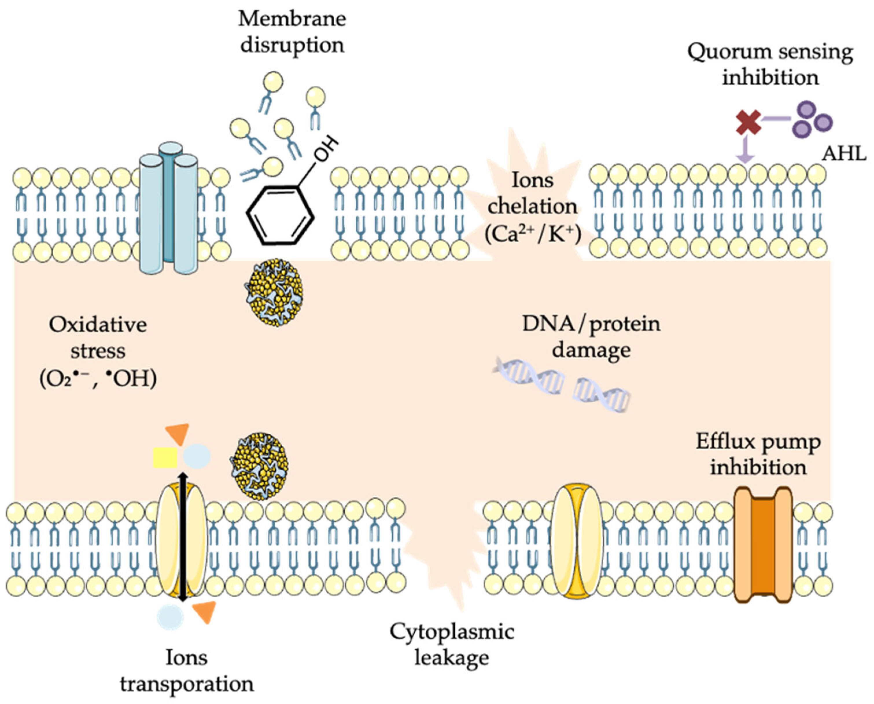 Foods 14 04000 g002 Foods 14 04000 g002