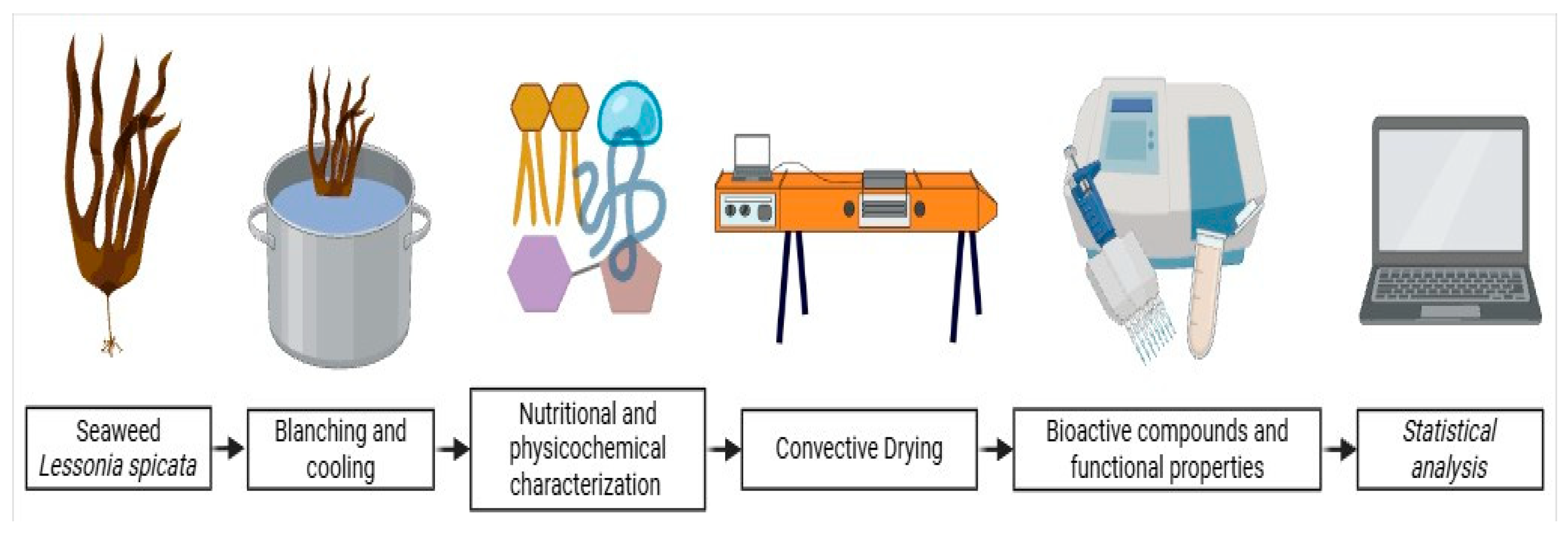 Foods 14 04011 g001 Foods 14 04011 g001