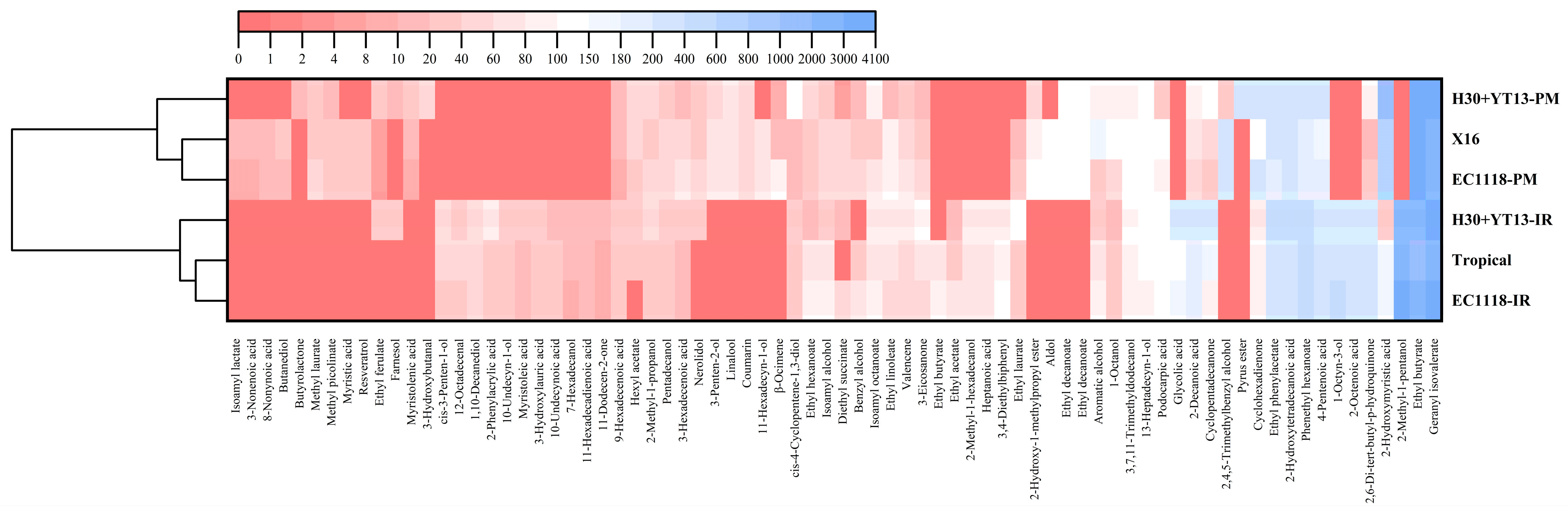 Foods 14 04015 g004 Foods 14 04015 g004