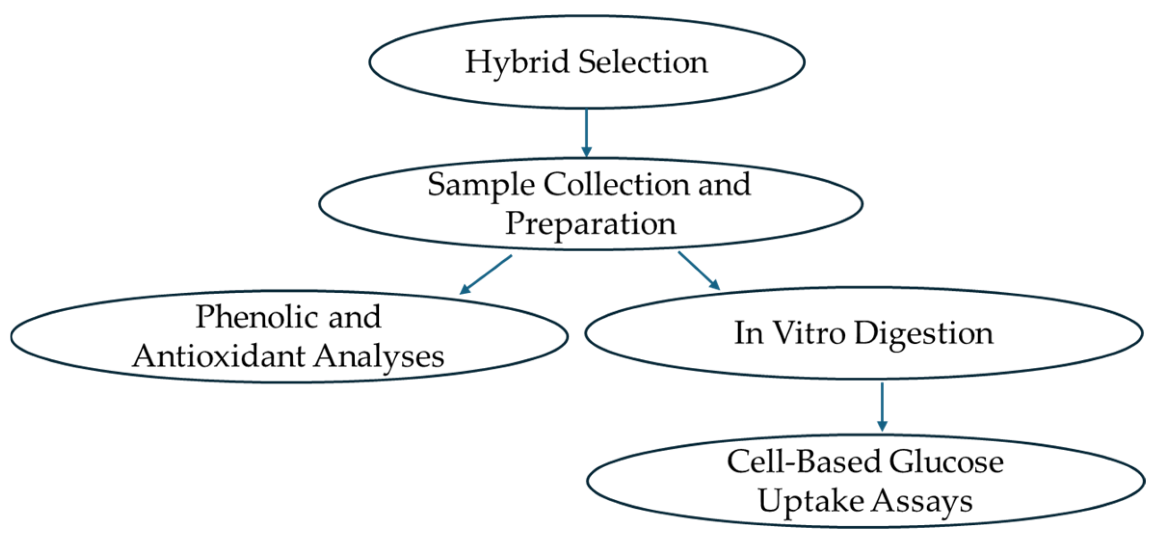 Foods 14 04035 g001 Foods 14 04035 g001