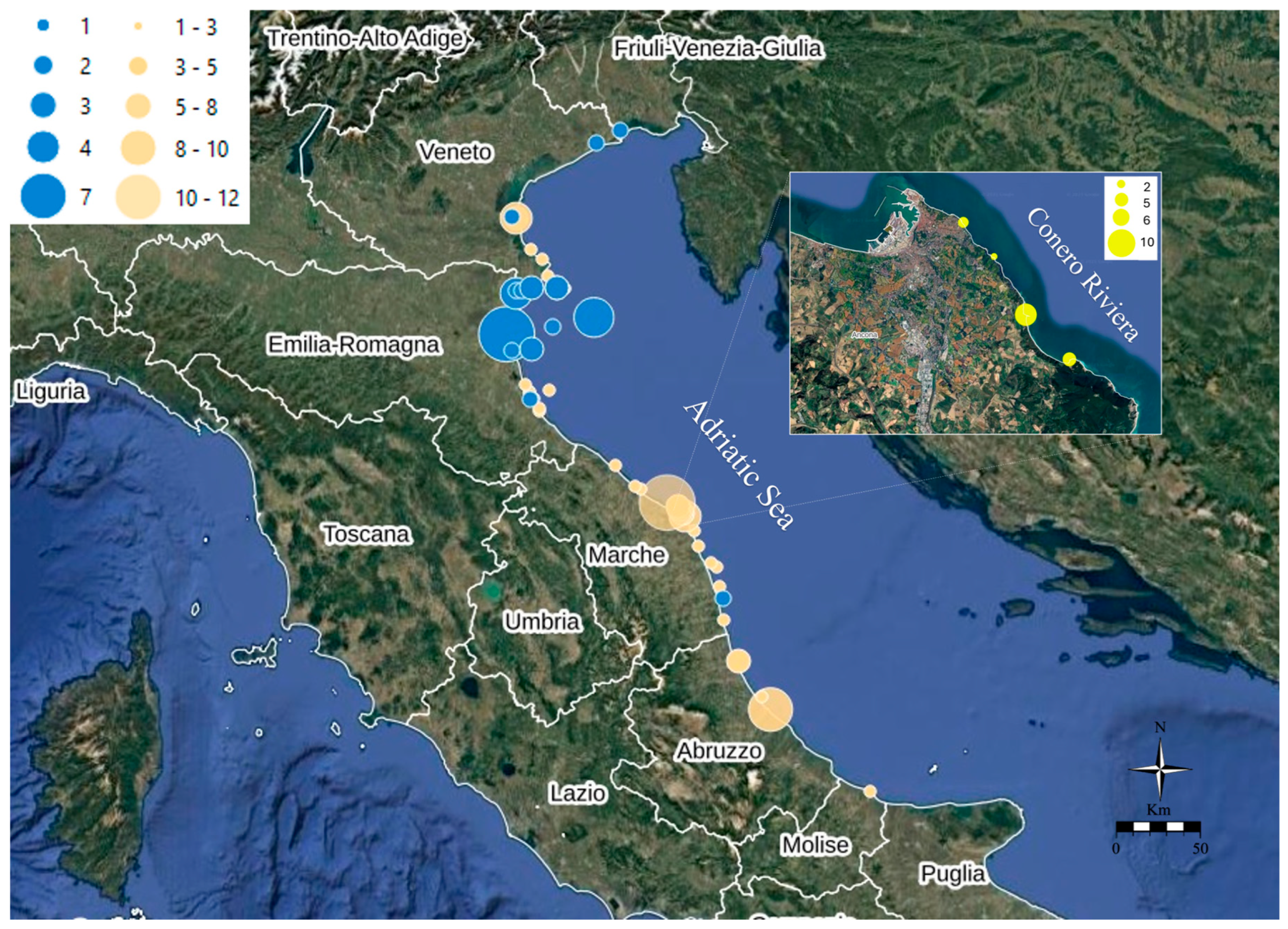 Foods 14 04036 g001 Foods 14 04036 g001