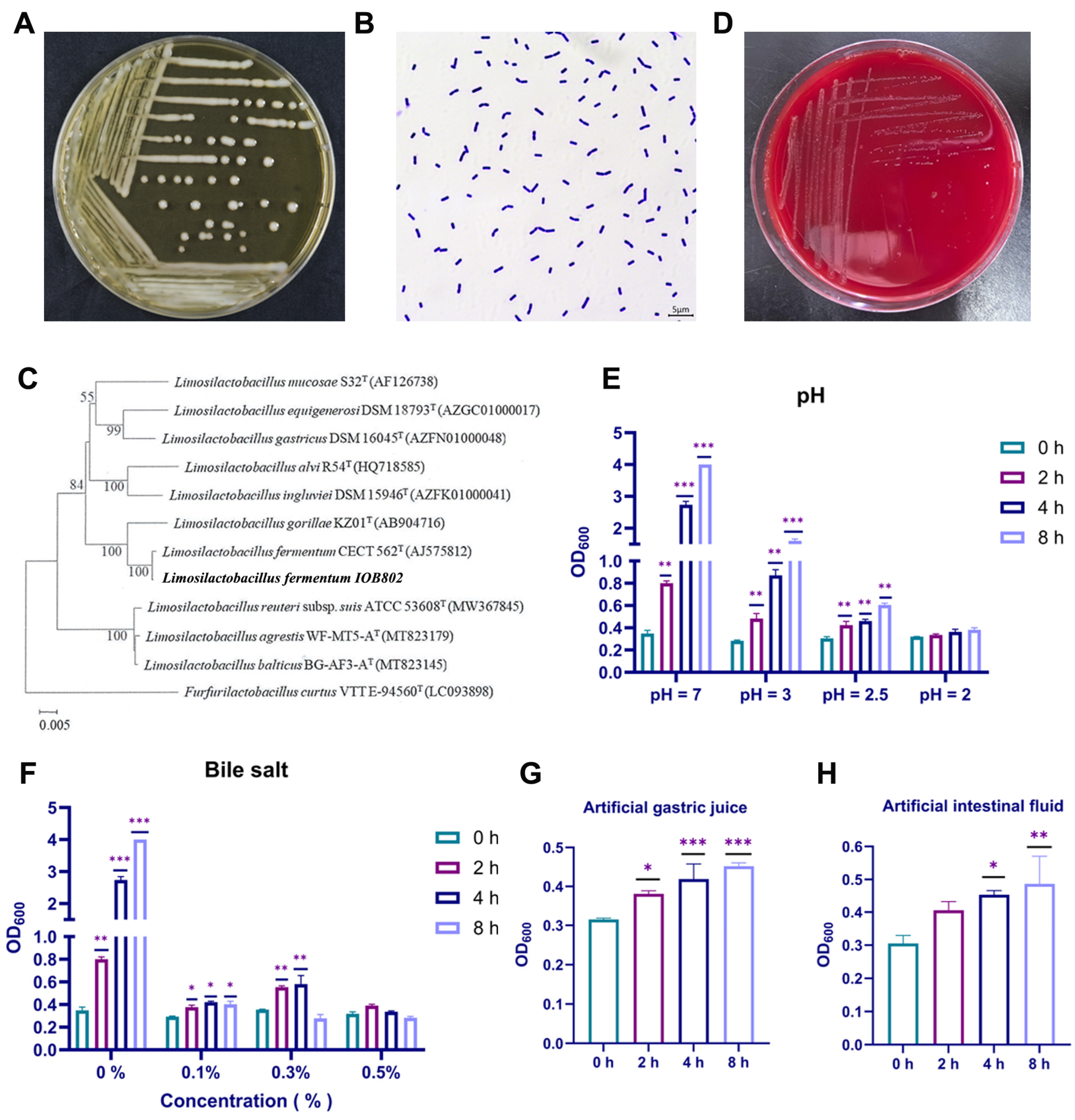 Foods 14 04037 g001 Foods 14 04037 g001