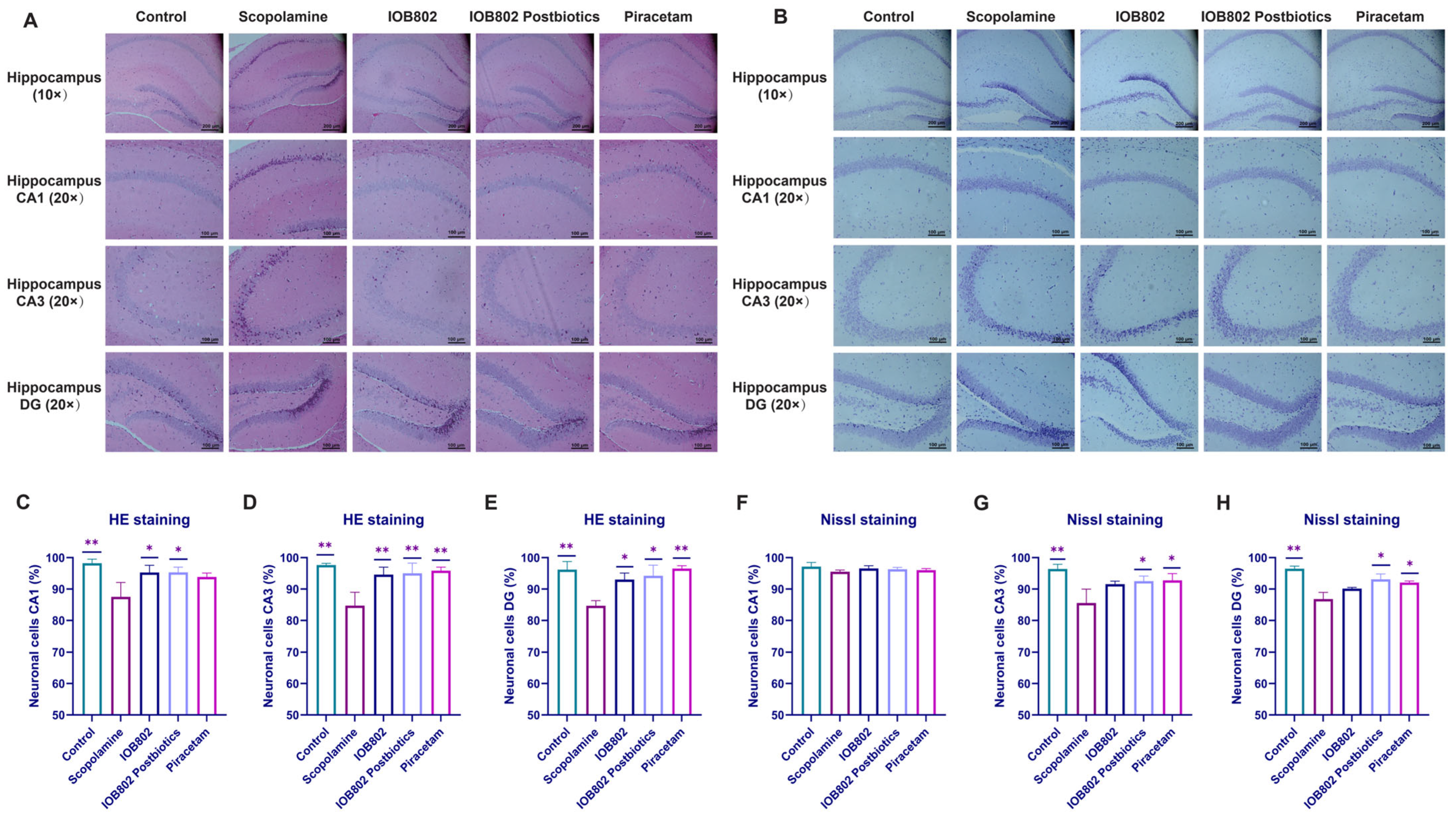 Foods 14 04037 g004 Foods 14 04037 g004