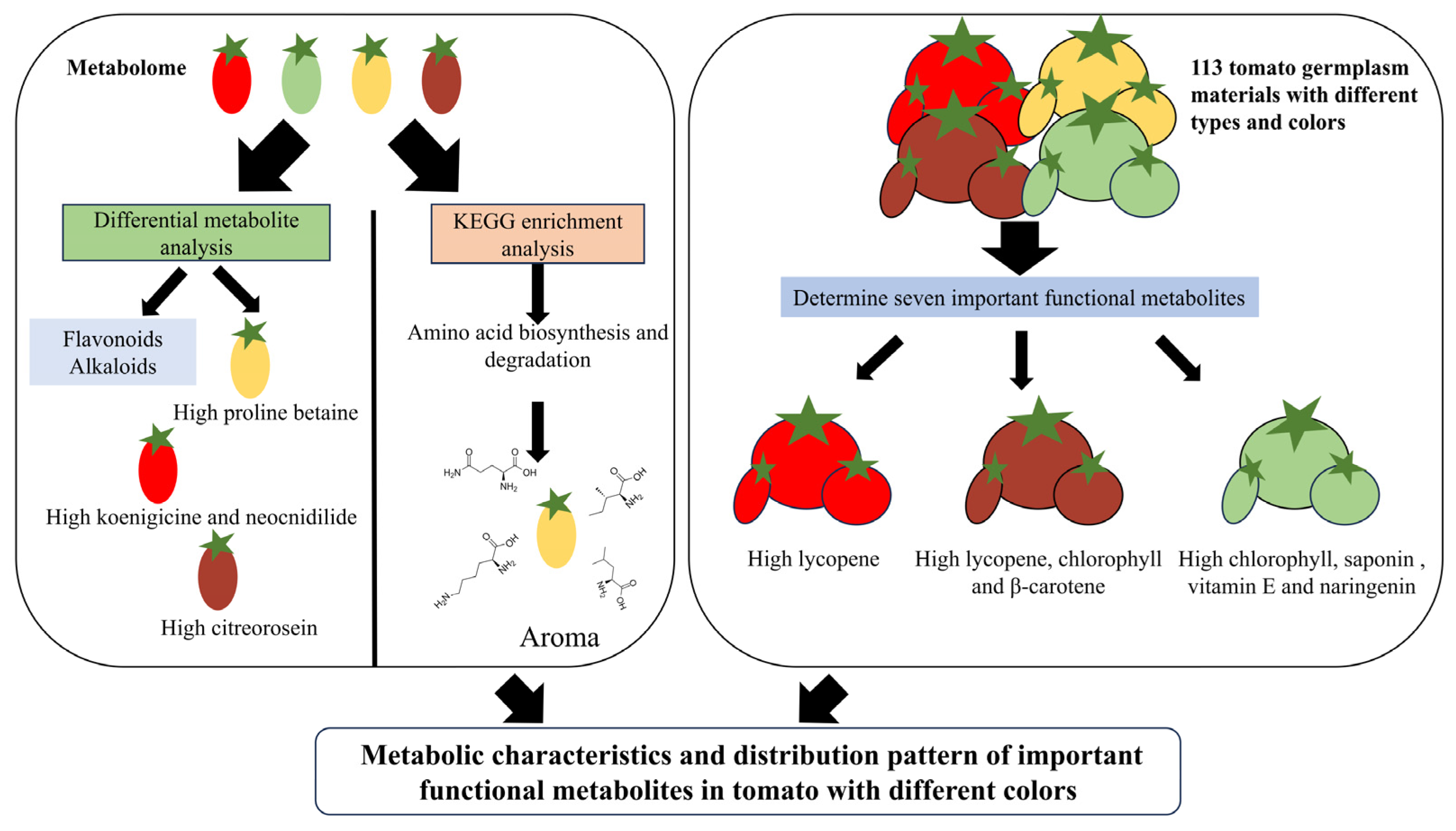 Foods 14 04044 g007 Foods 14 04044 g007