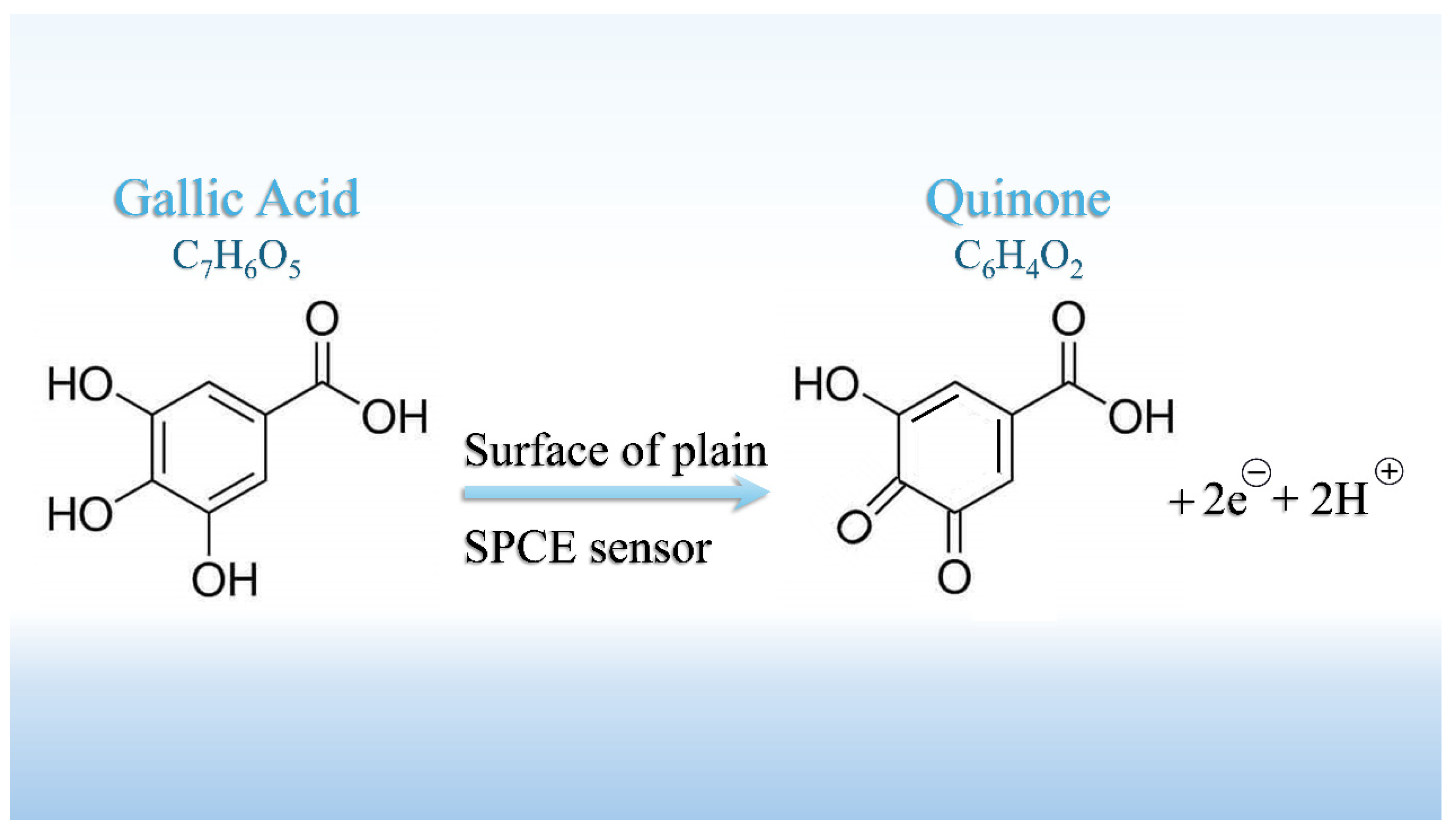 Foods 14 04070 sch001