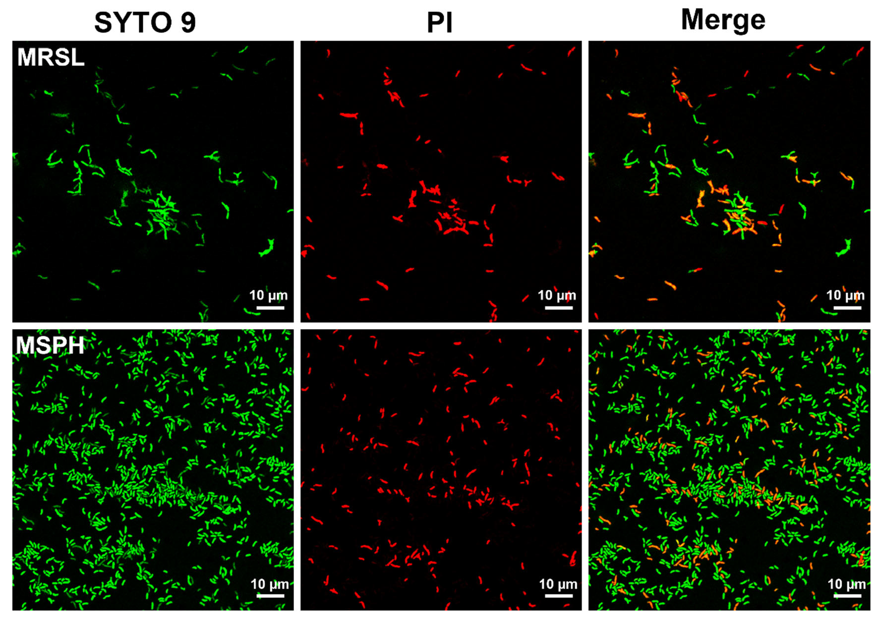 Foods 14 04071 g005 Foods 14 04071 g005