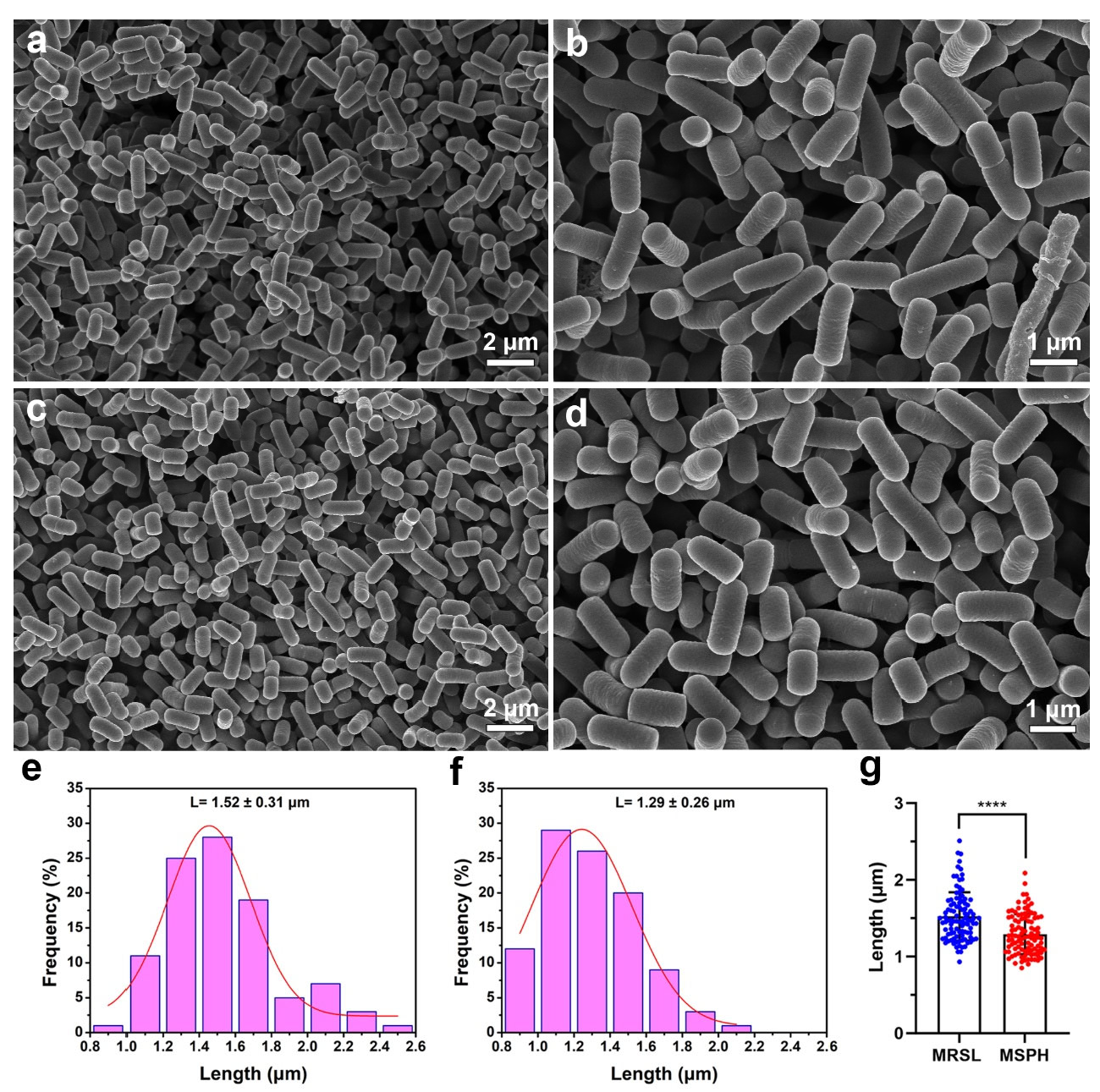 Foods 14 04071 g008 Foods 14 04071 g008