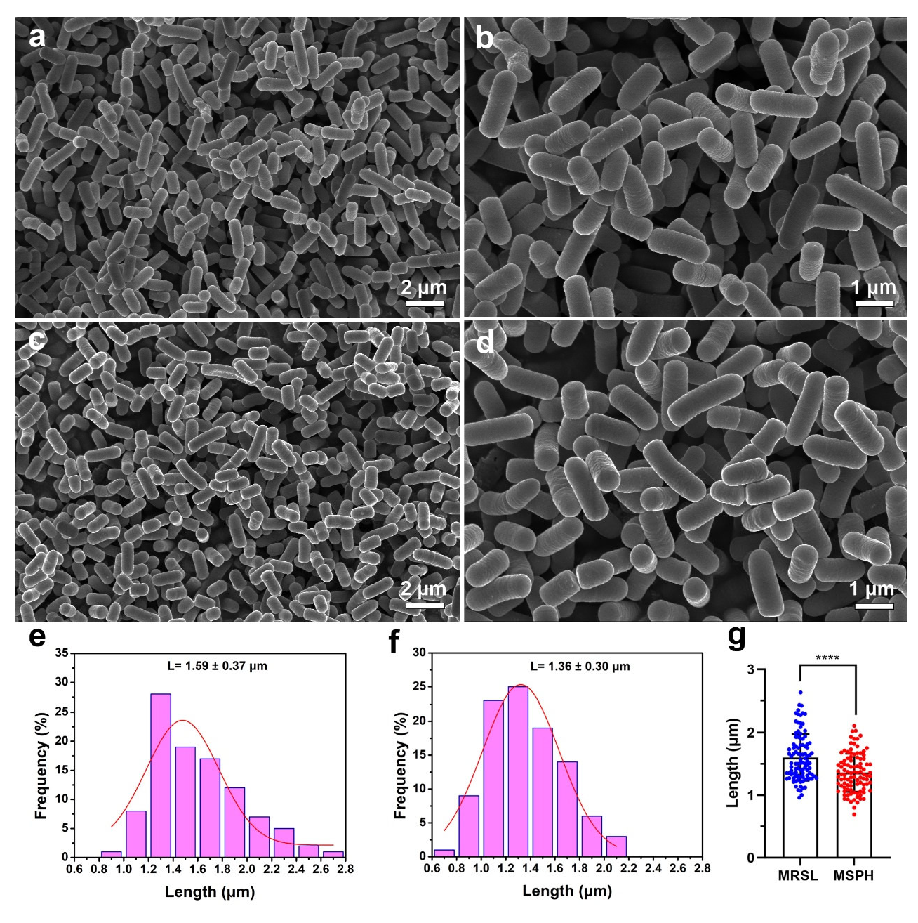 Foods 14 04071 g009 Foods 14 04071 g009