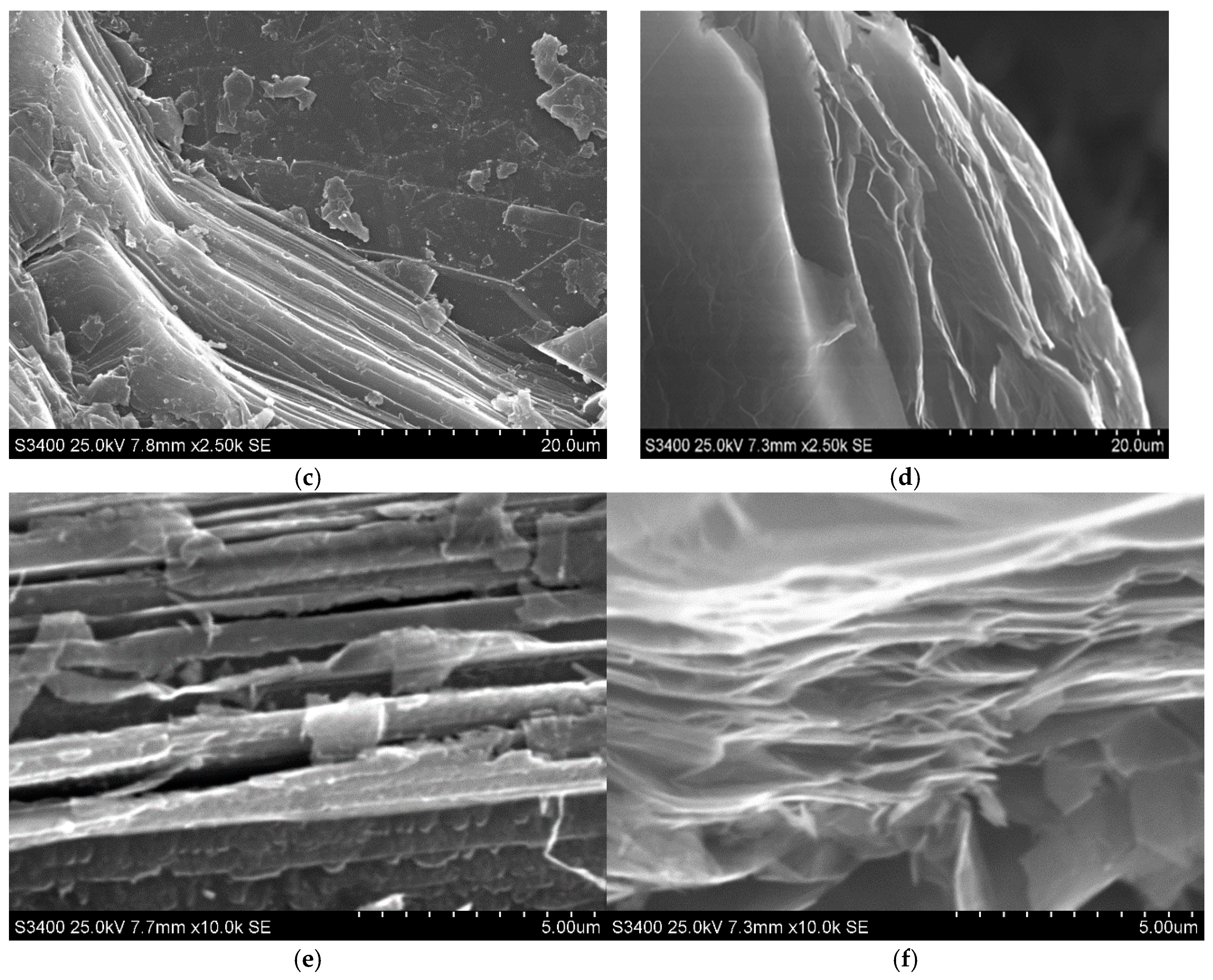 Foods 14 04075 g001b