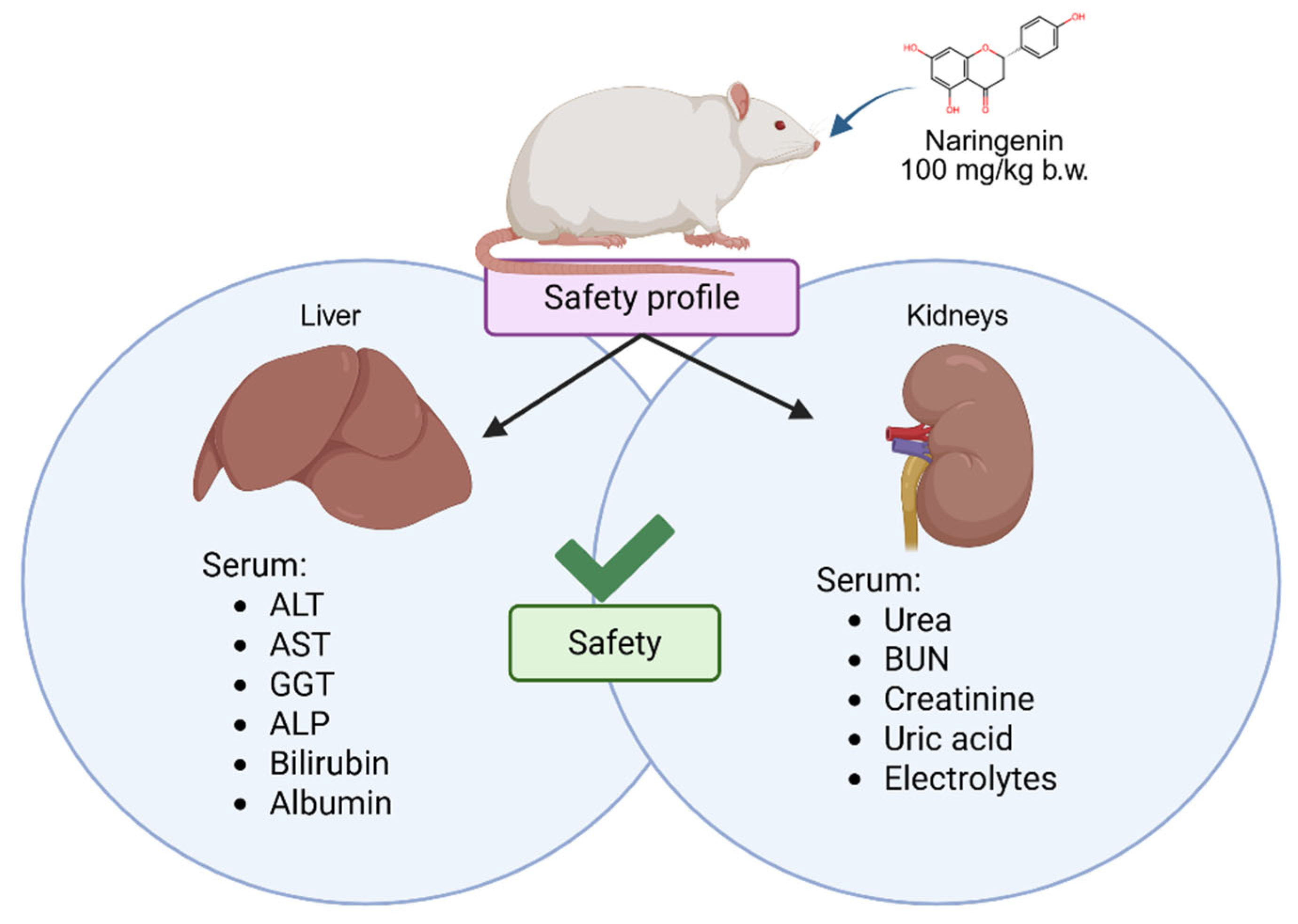 Foods 14 04083 g006 Foods 14 04083 g006