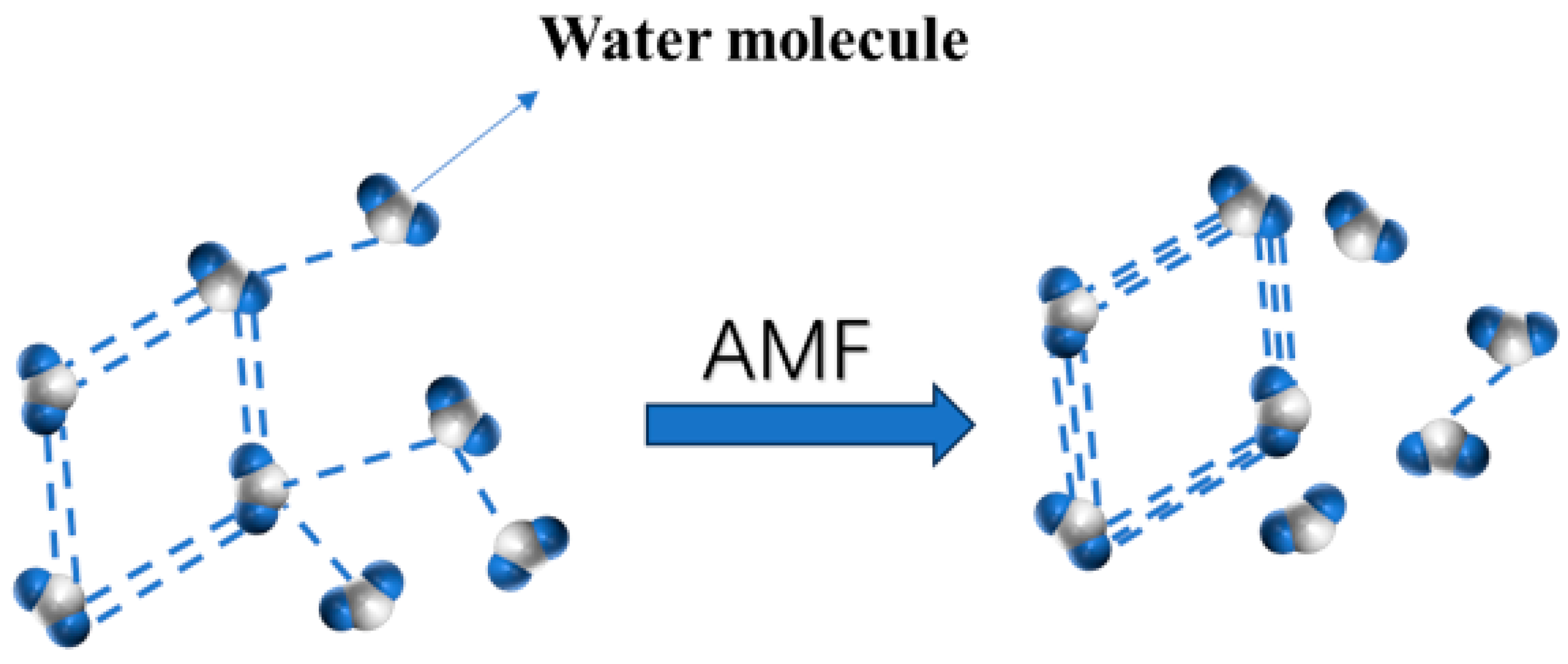 Foods 14 04112 g001 Foods 14 04112 g001