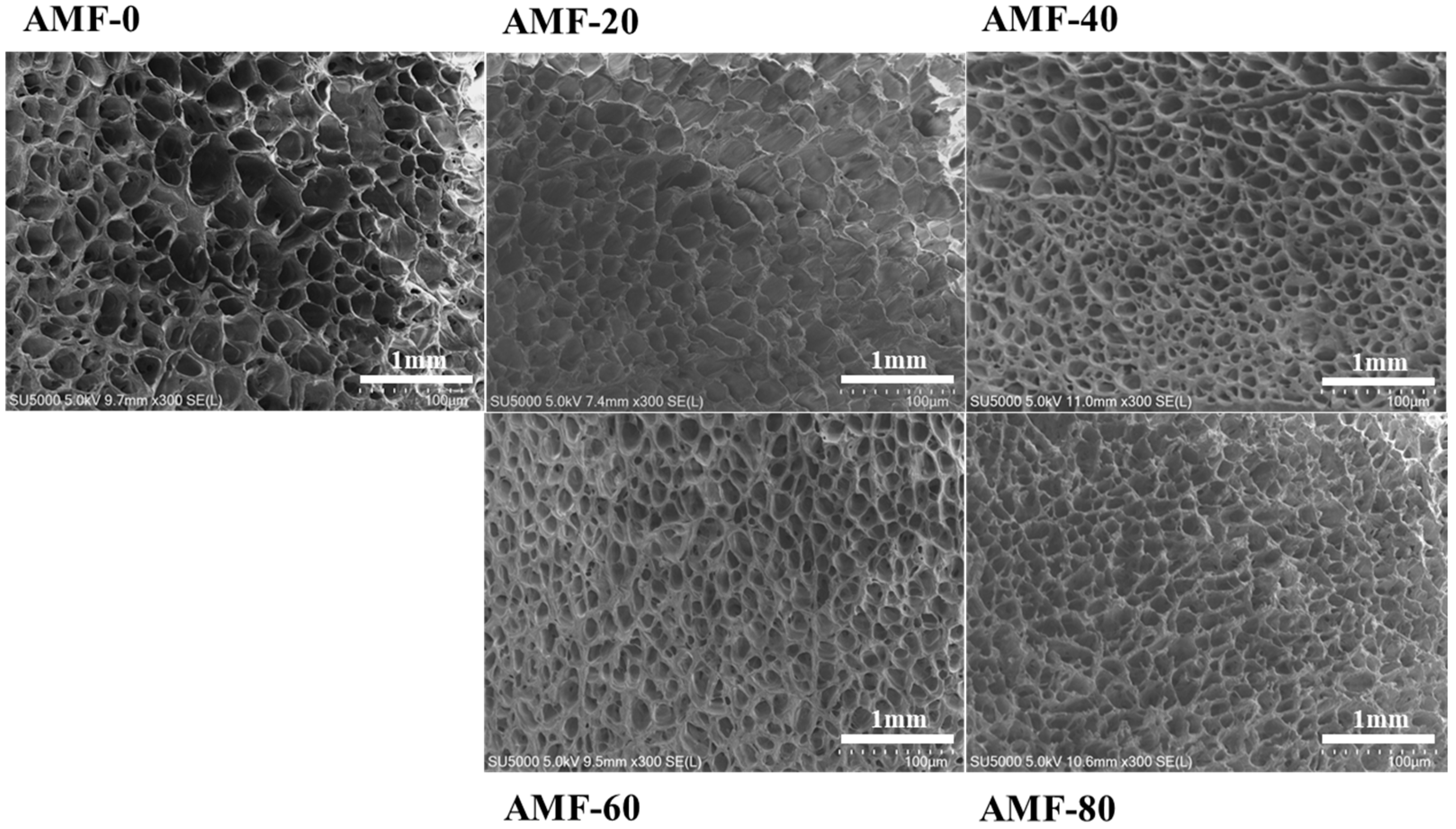 Foods 14 04112 g006 Foods 14 04112 g006