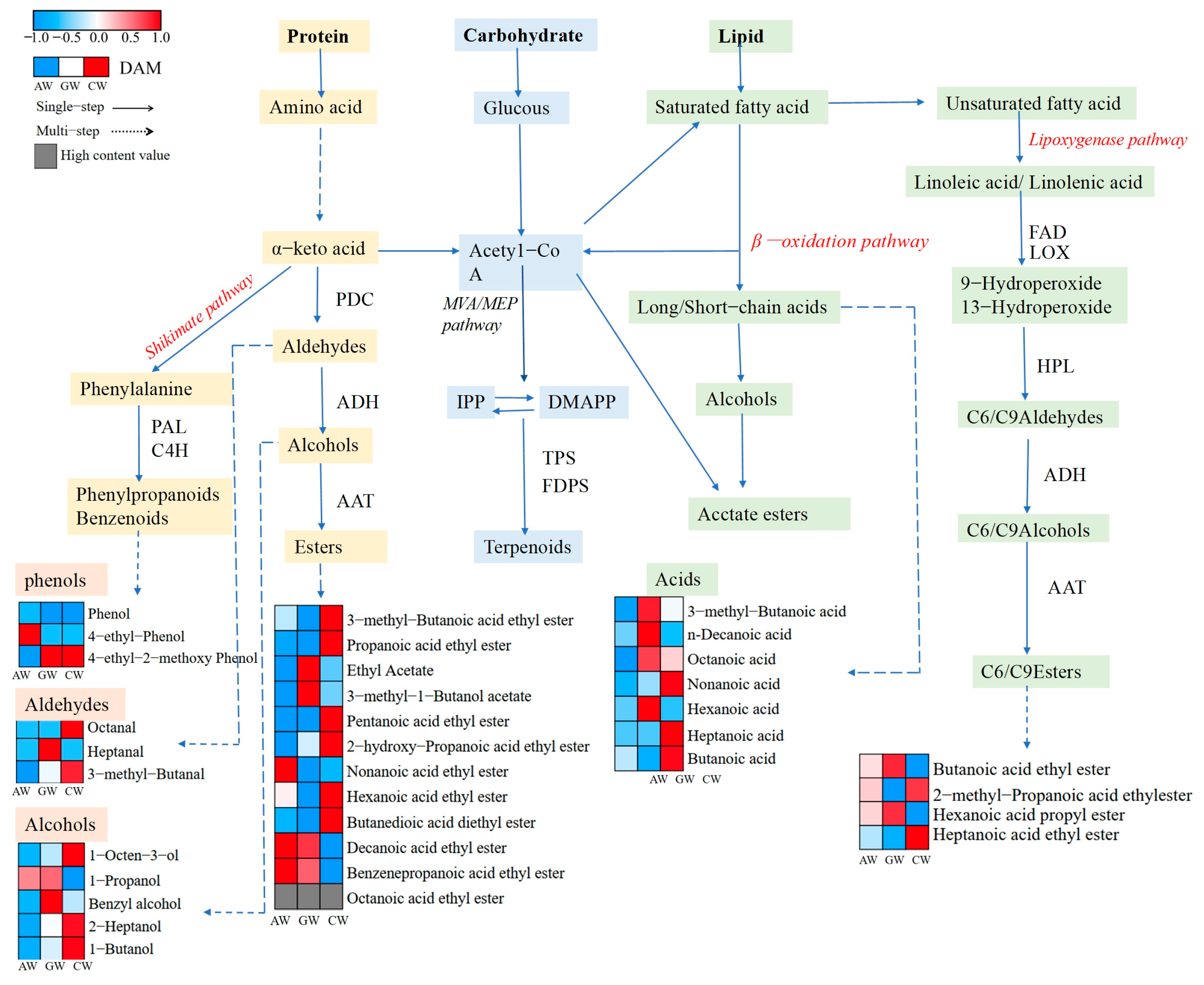 Foods 14 04119 g007 Foods 14 04119 g007