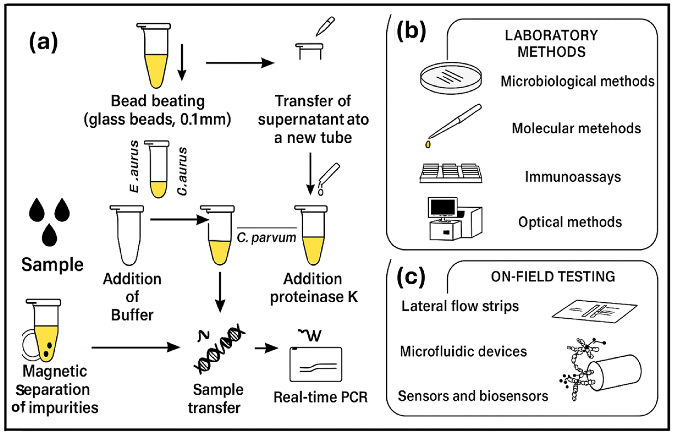 Foods 14 04139 g002 Foods 14 04139 g002