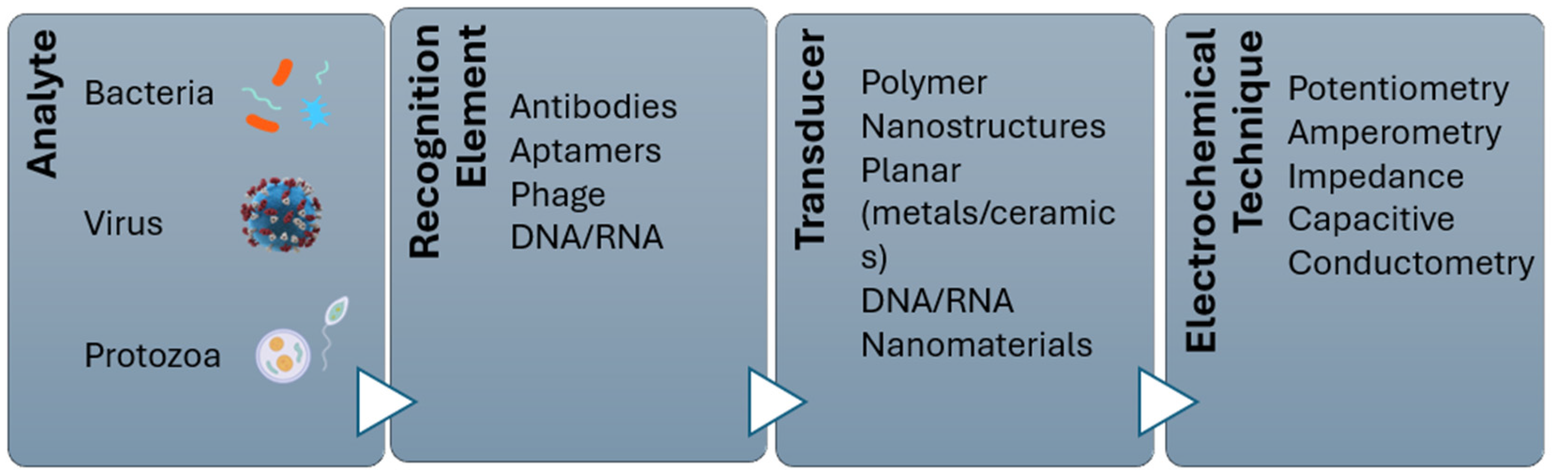 Foods 14 04139 g005 Foods 14 04139 g005