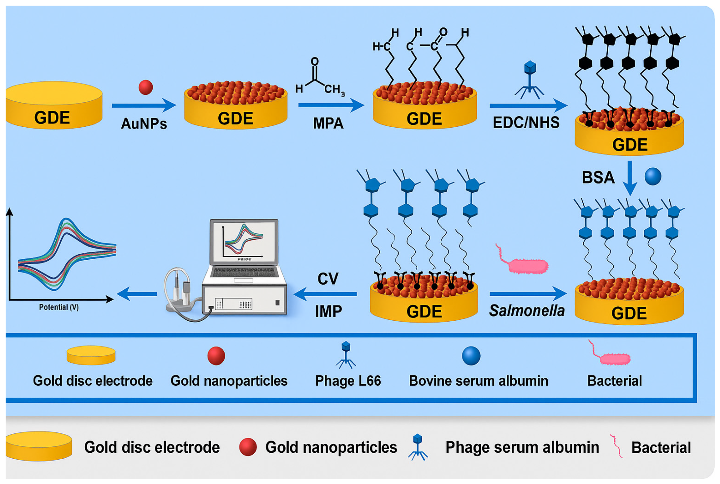 Foods 14 04139 g008 Foods 14 04139 g008