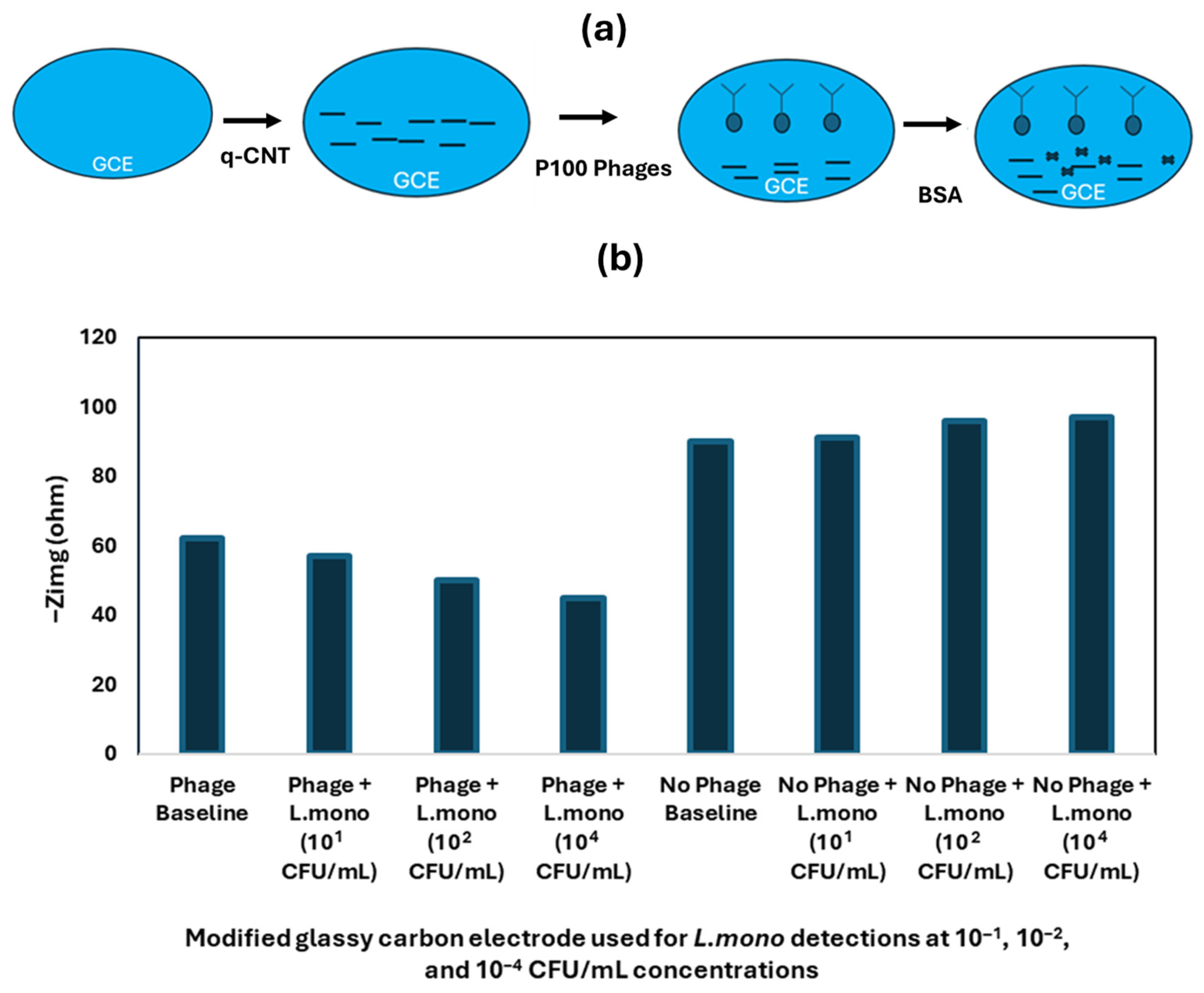 Foods 14 04139 g009 Foods 14 04139 g009