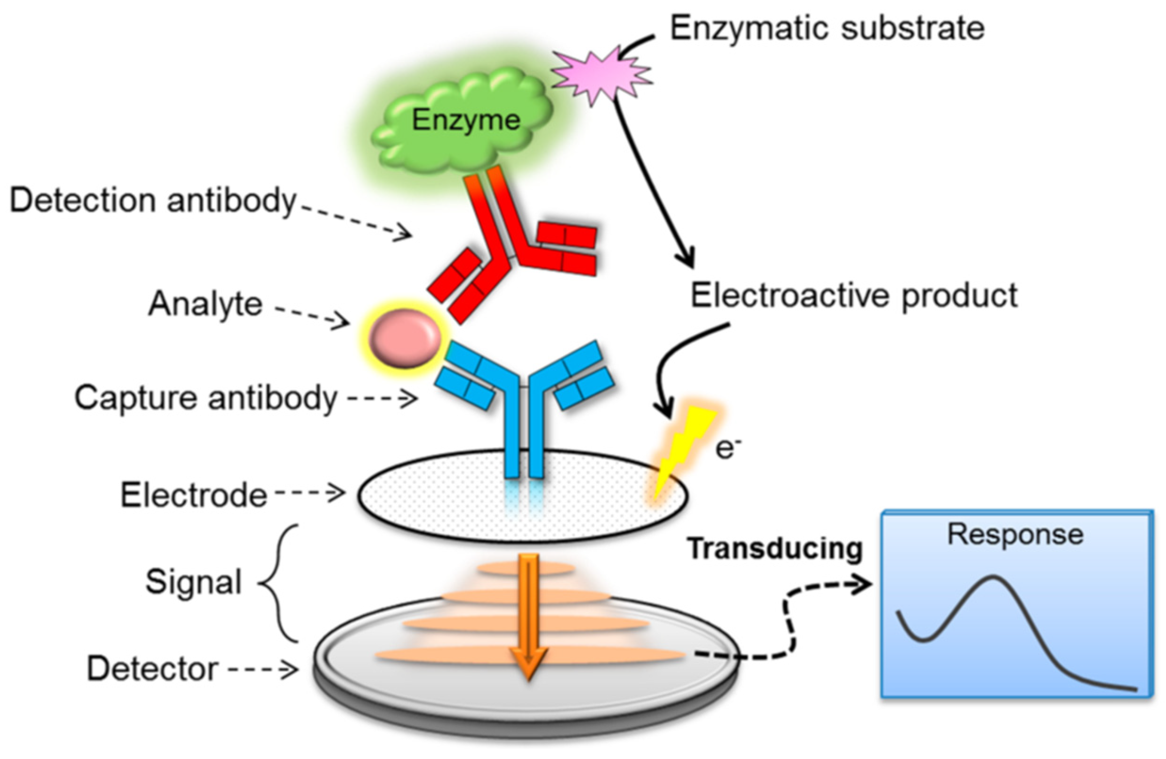 Foods 14 04139 g011 Foods 14 04139 g011