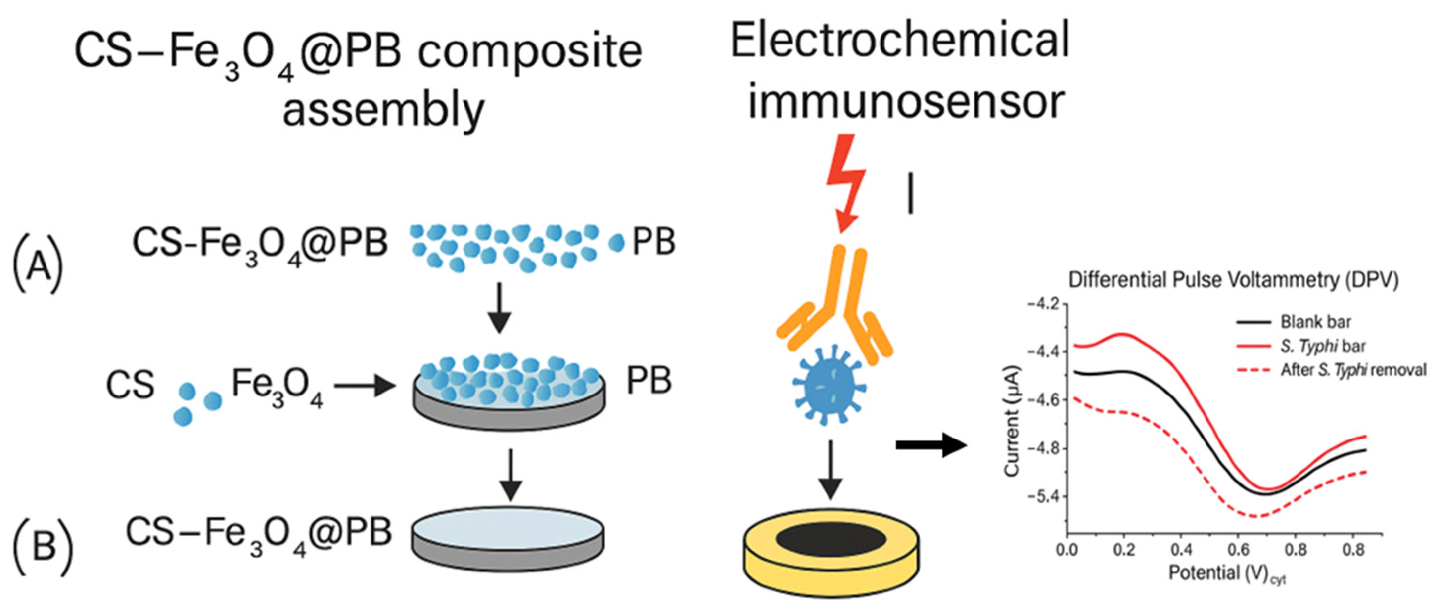 Foods 14 04139 g012 Foods 14 04139 g012