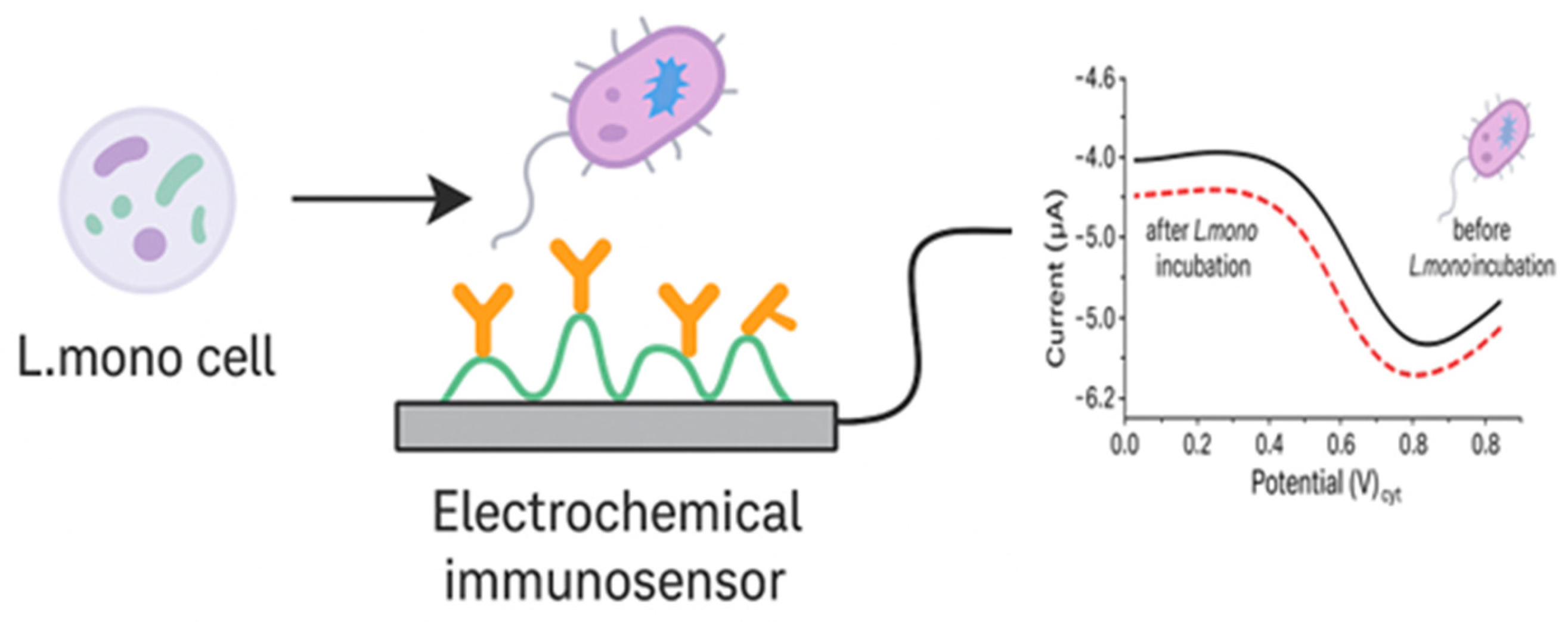 Foods 14 04139 g013 Foods 14 04139 g013