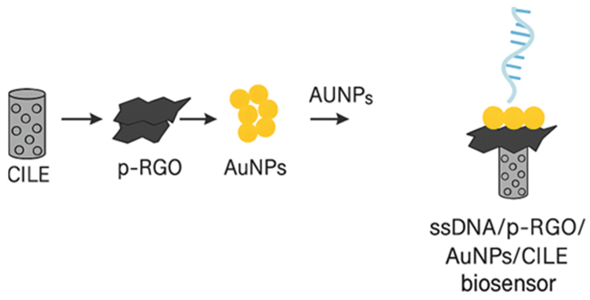 Foods 14 04139 g015 Foods 14 04139 g015