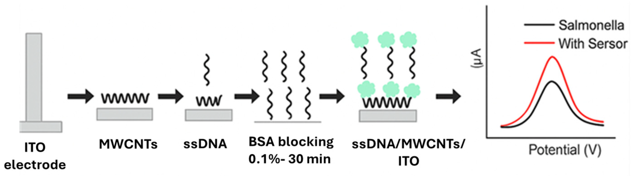 Foods 14 04139 g017 Foods 14 04139 g017